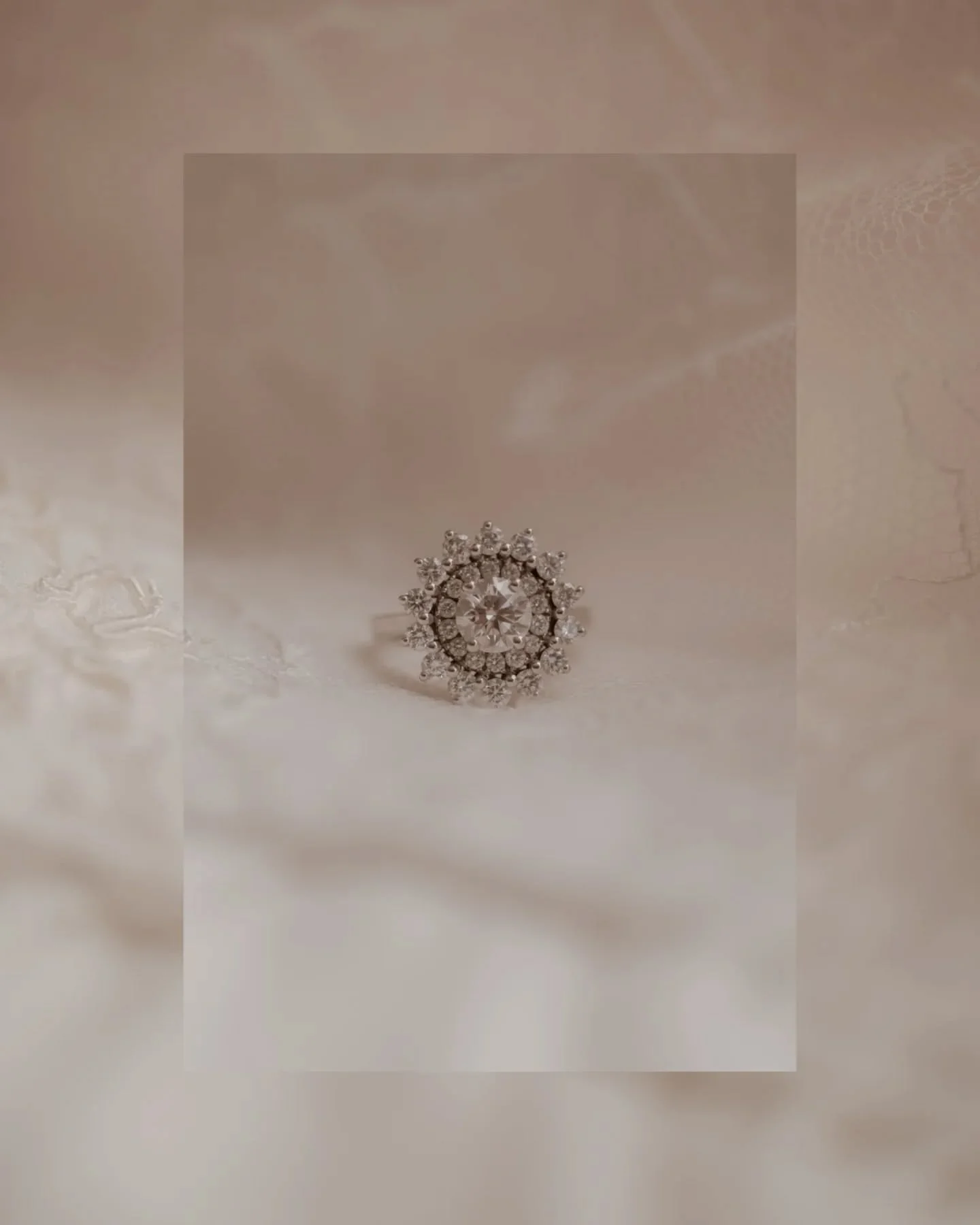 L'&eacute;clat d'un amour en un scintillement...💍

#wedding #weddingphoto #photographe #photographeloire #photographetours #photographesancerre #mariage2025 #mariagebourgogne #bourgogne #joallerie #wed #weddingday