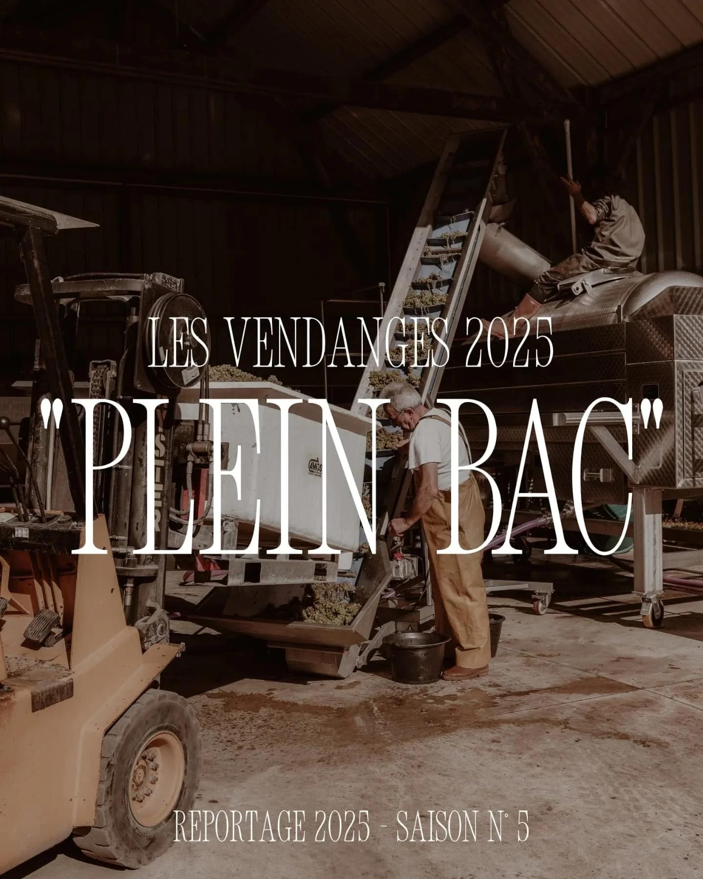 🍇Pr&ecirc;ts pour la r&eacute;colte du mill&eacute;sime 2025 ?!

Je vous embarque au c&oelig;ur des vendanges pour un reportage photo immersif ! Moments forts, d&eacute;tails sensibles, vues d&rsquo;ensemble de vos vignes&hellip; et m&ecirc;me une v