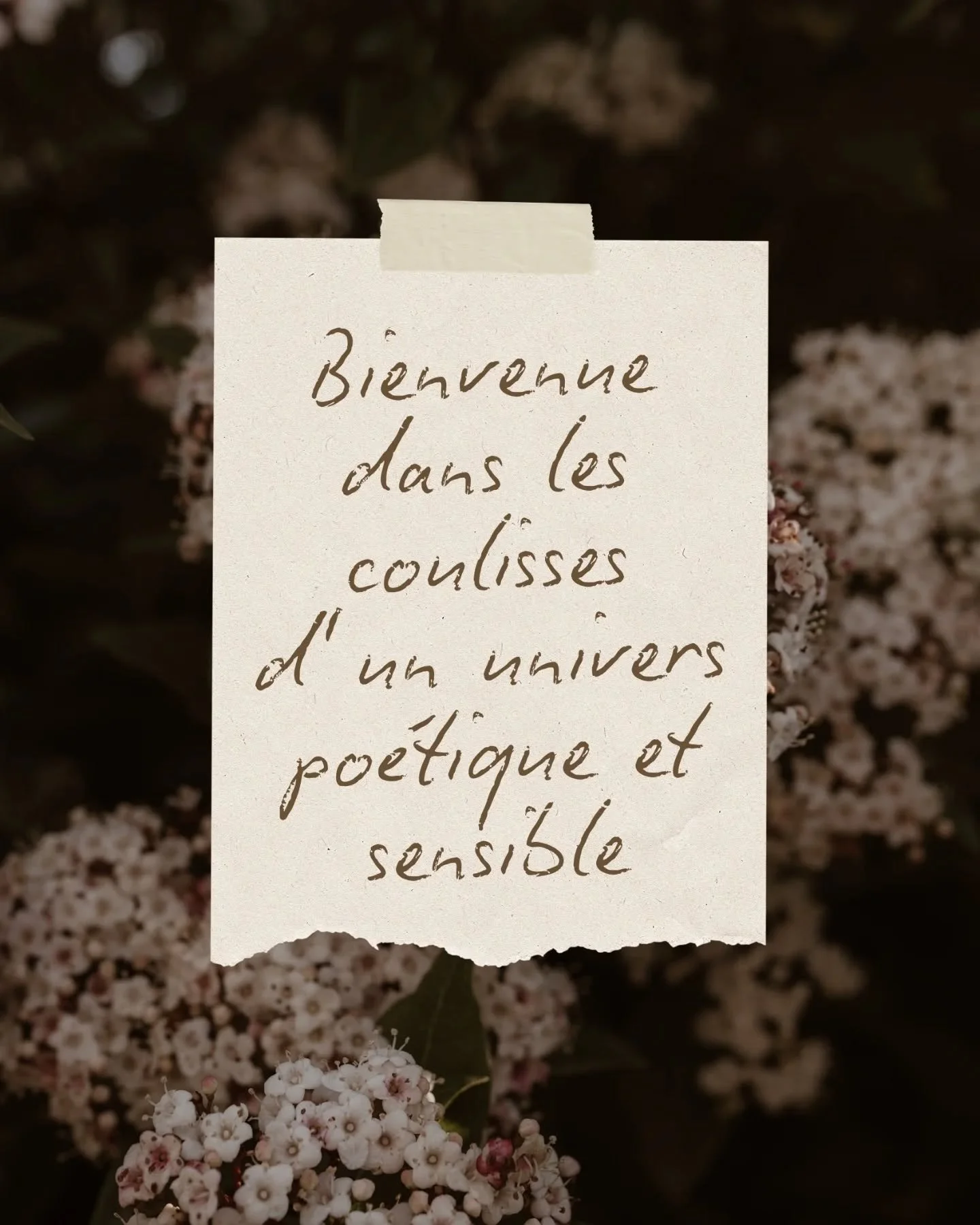 Tout commence par une histoire d'amour, la v&ocirc;tre. Il est temps de vivre les souvenirs dont vous r&ecirc;vez &hearts;️

Accordez-vous ce moment &agrave; deux ou en famille le temps d'un instant...💋

Merci &agrave; tous ces couples, &agrave; ces