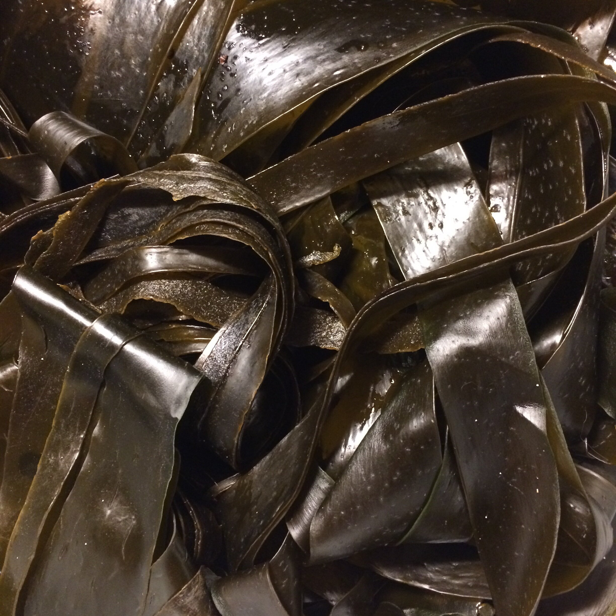 LA MER Balade Gourmande