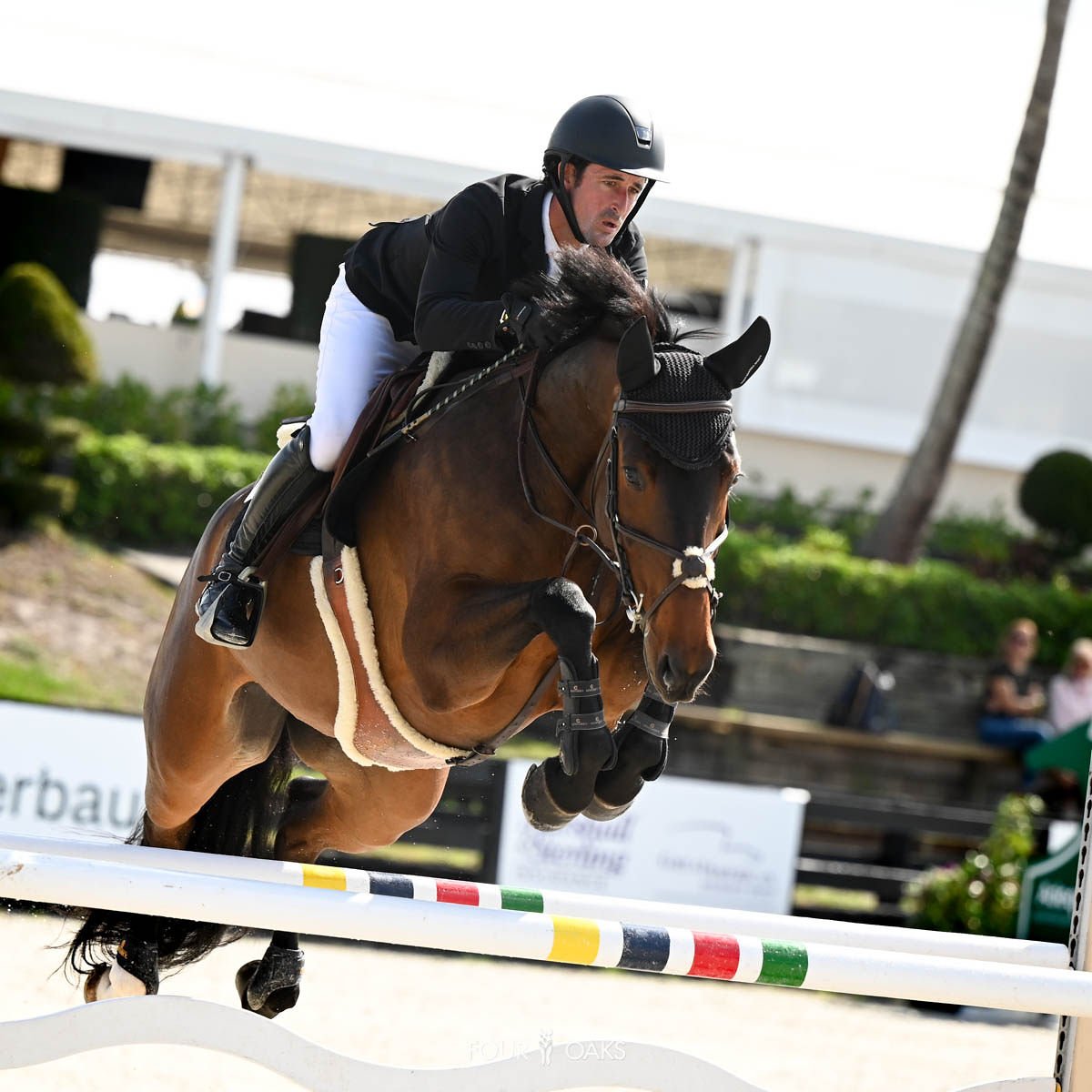 Nicholas Dello Joio Makes Winning Royal Horse Show Debut in CSI5*-W Big Ben  Challenge - The Plaid Horse Magazine