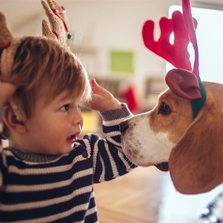 Cool Gift Ideas That Save Energy