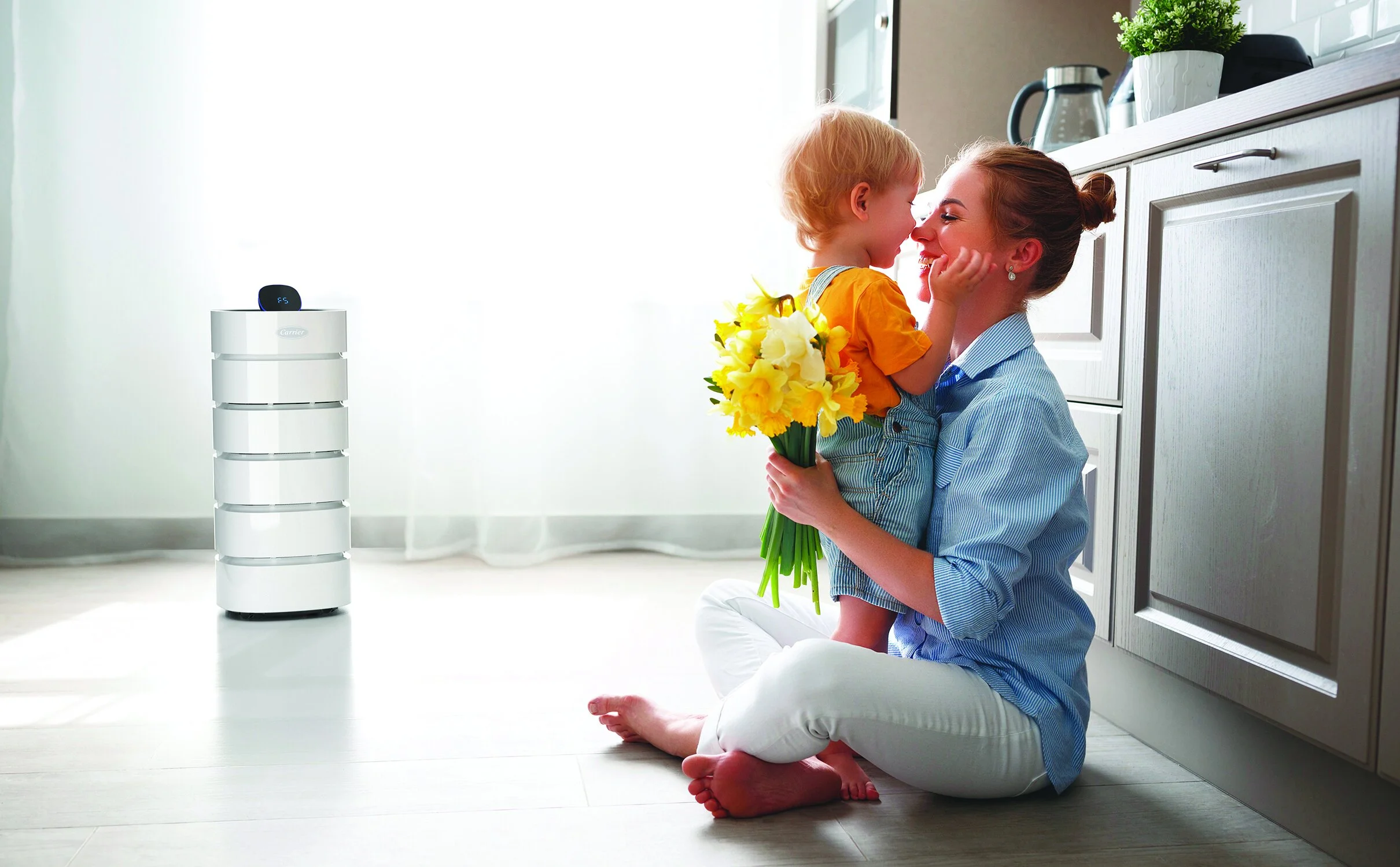 Improve Your Home's Air Quality