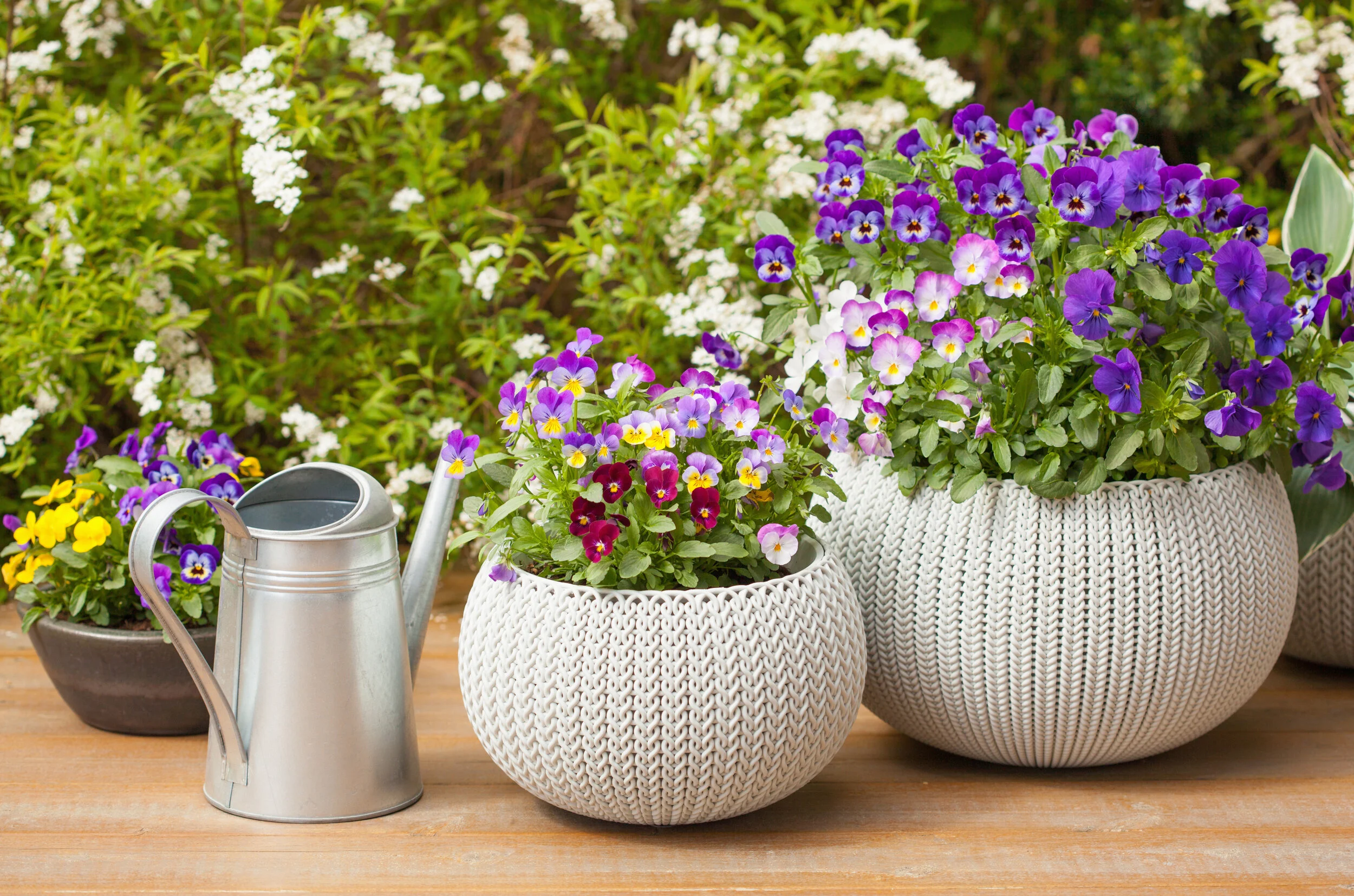 Brighten &amp; boost outdoor spaces
