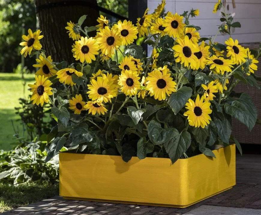 The future of gardening