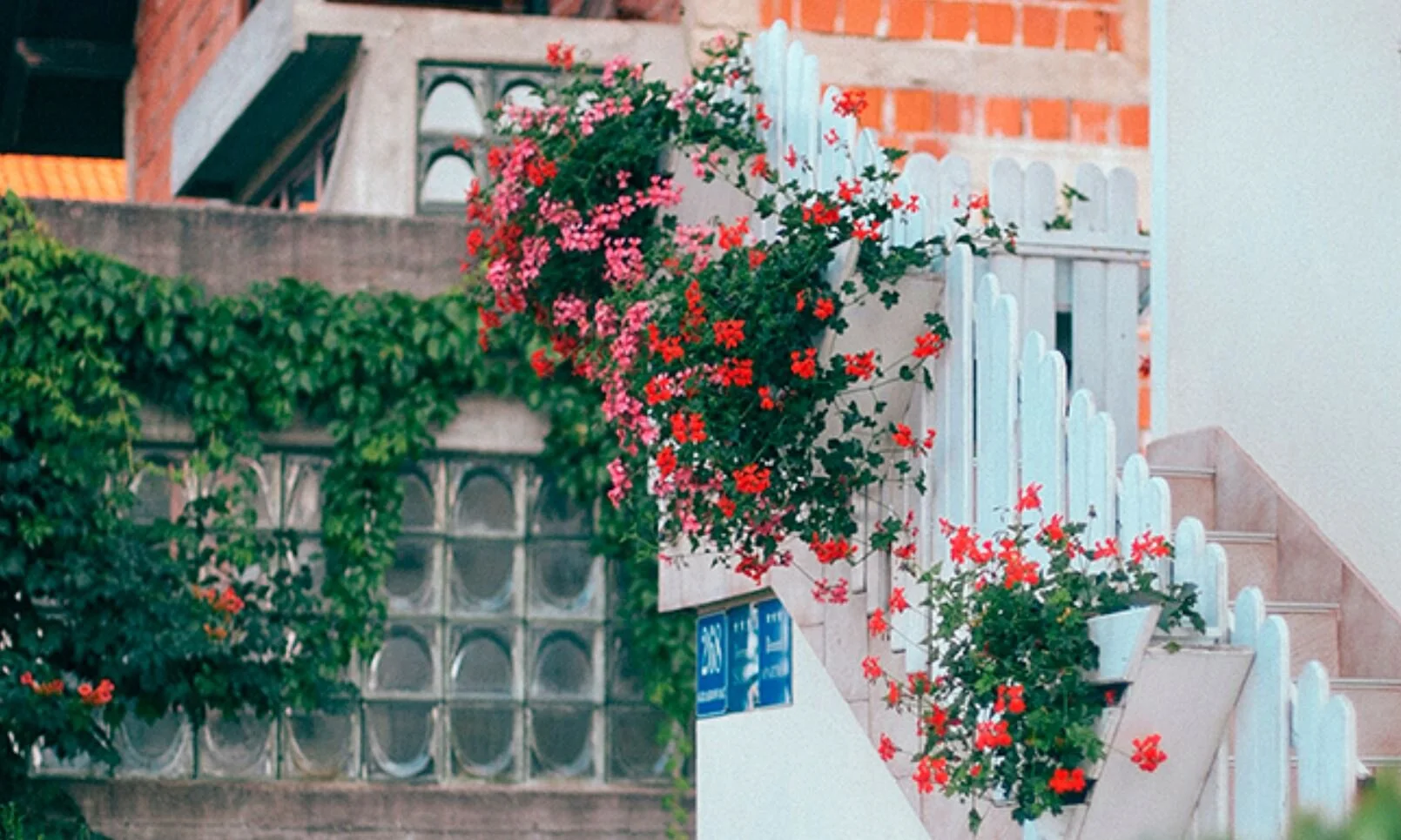 Get Growing: Urban Garden