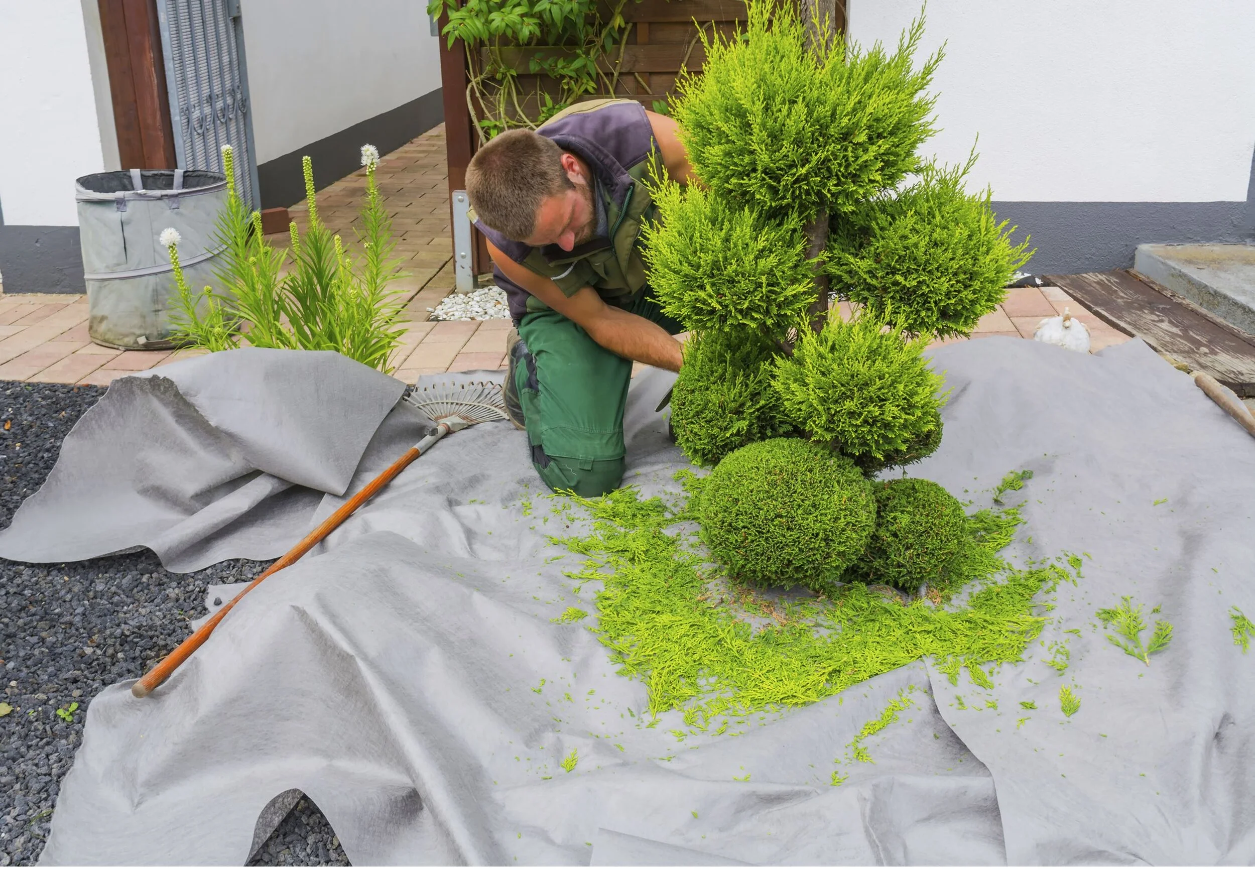 5 Landscaping mistakes