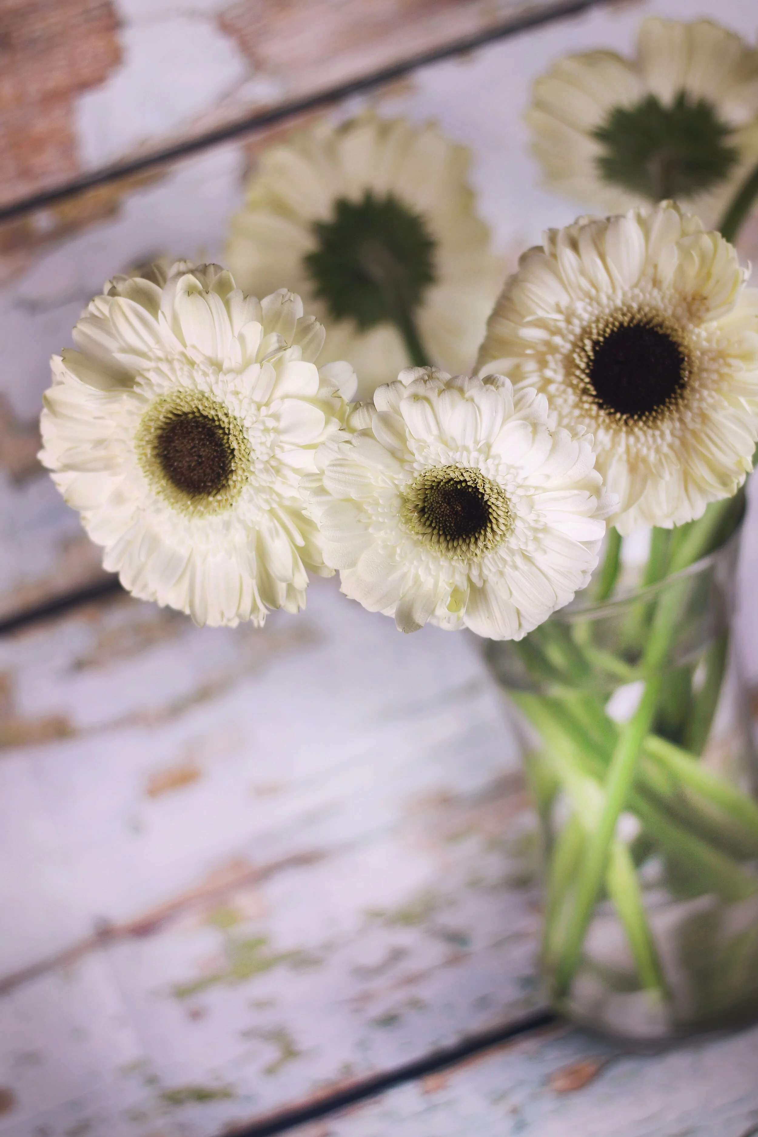 How to Care for Fresh Flowers