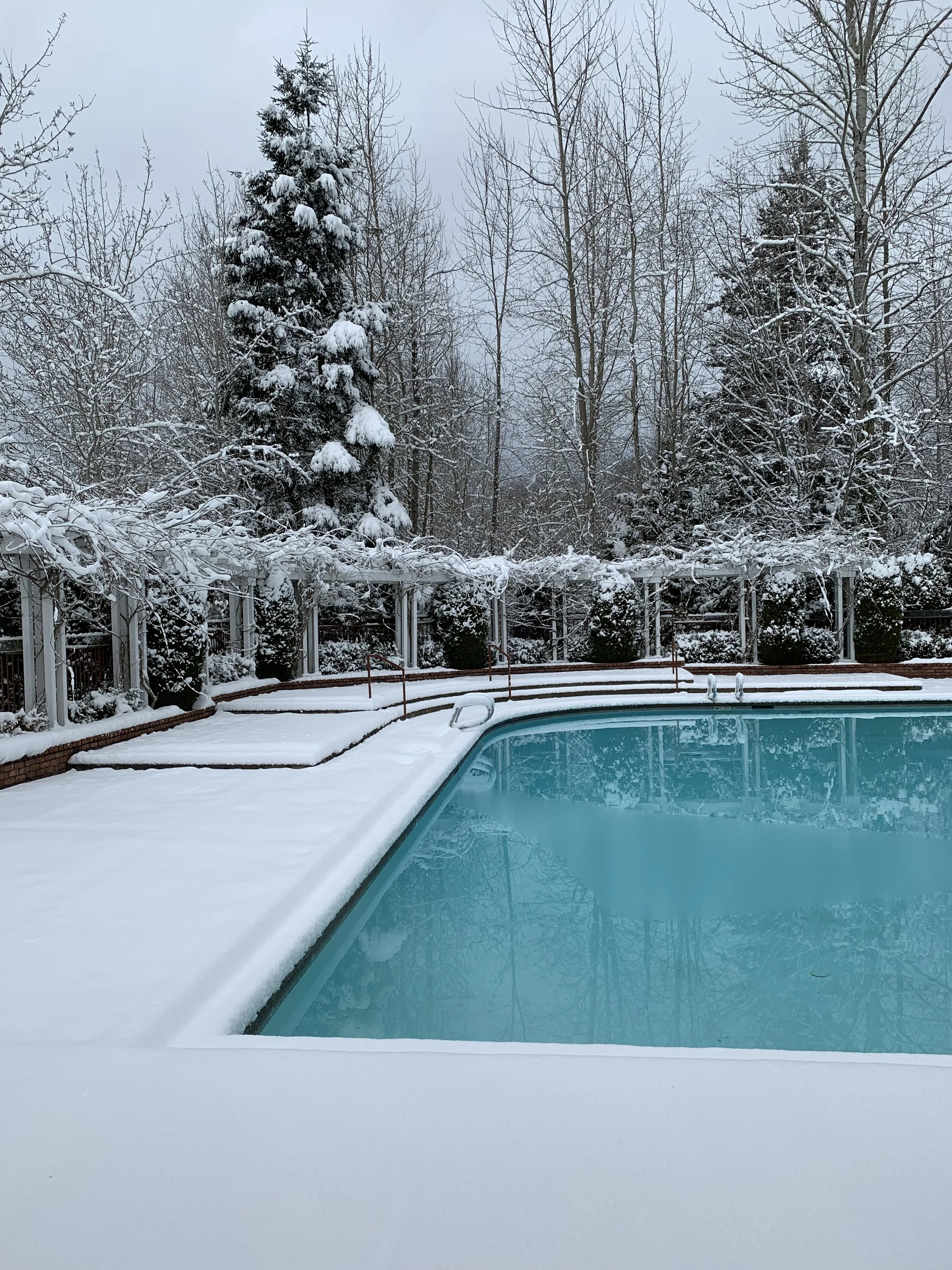 Protect Your Pool in The Winter