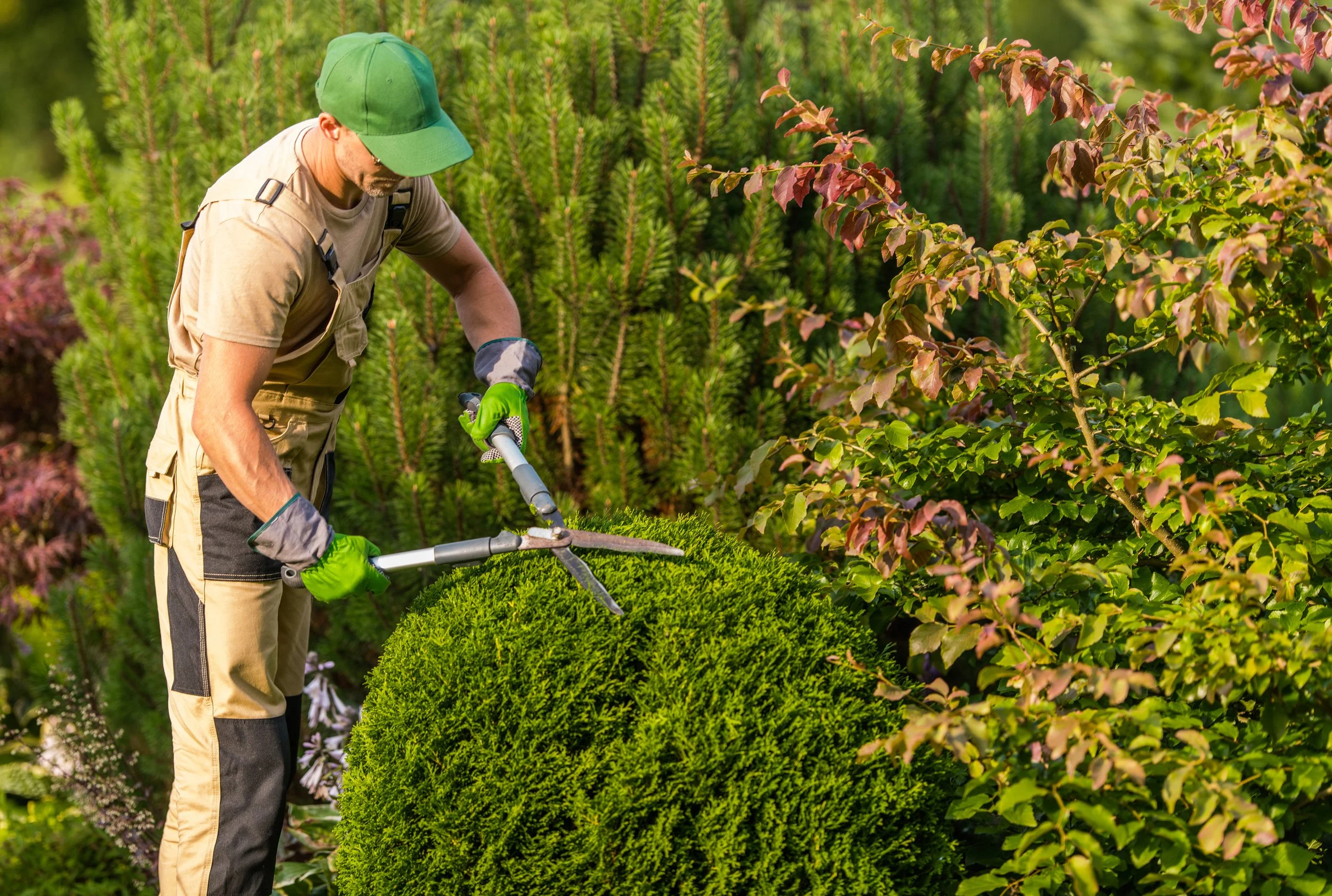 Hiring A Landscaping Company