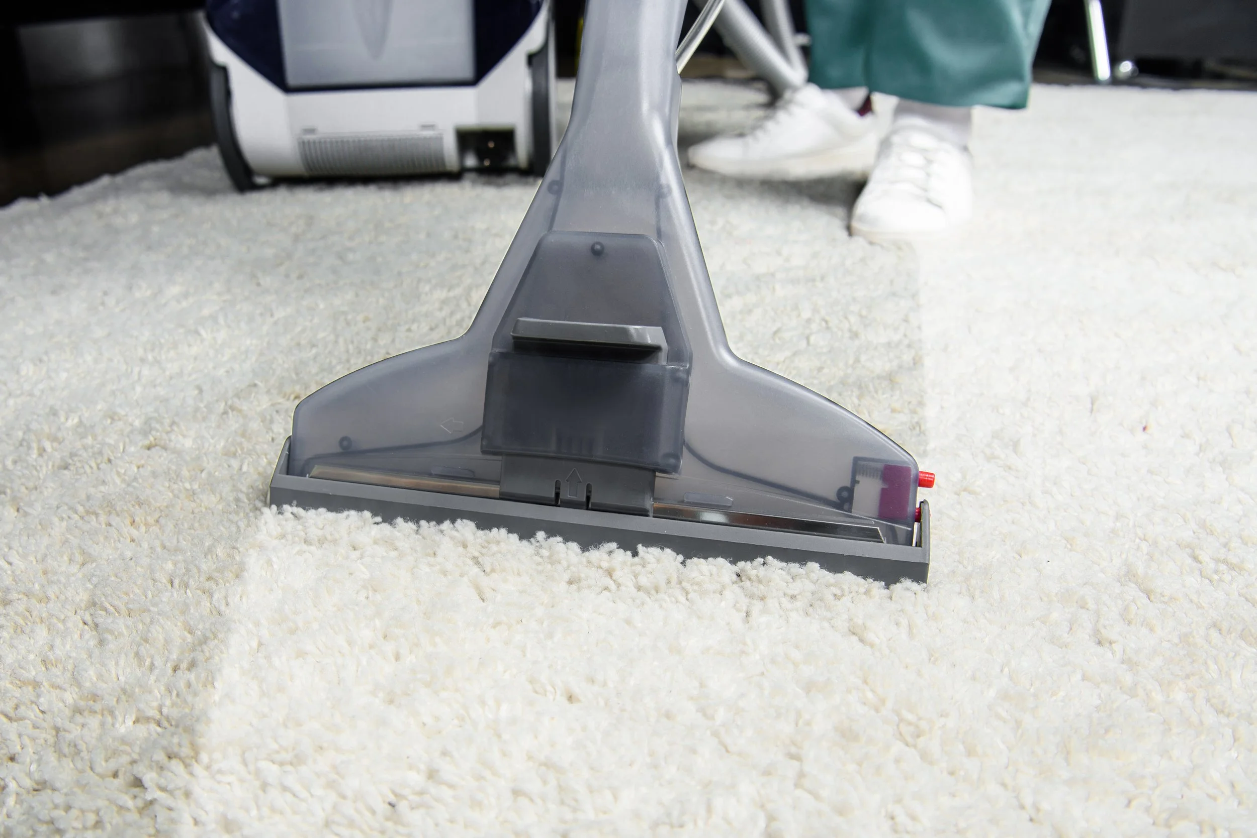 Schedule Carpet Cleaning Today