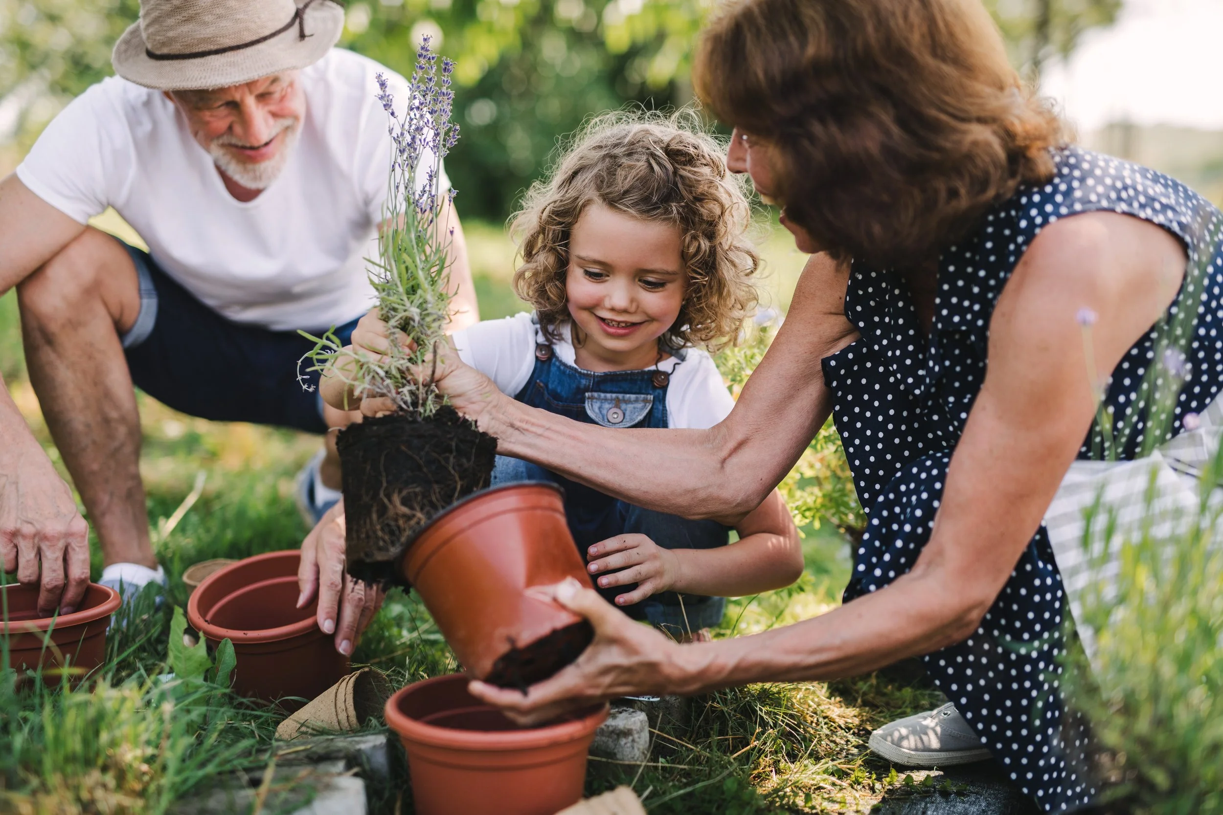 Building the Perfect Garden