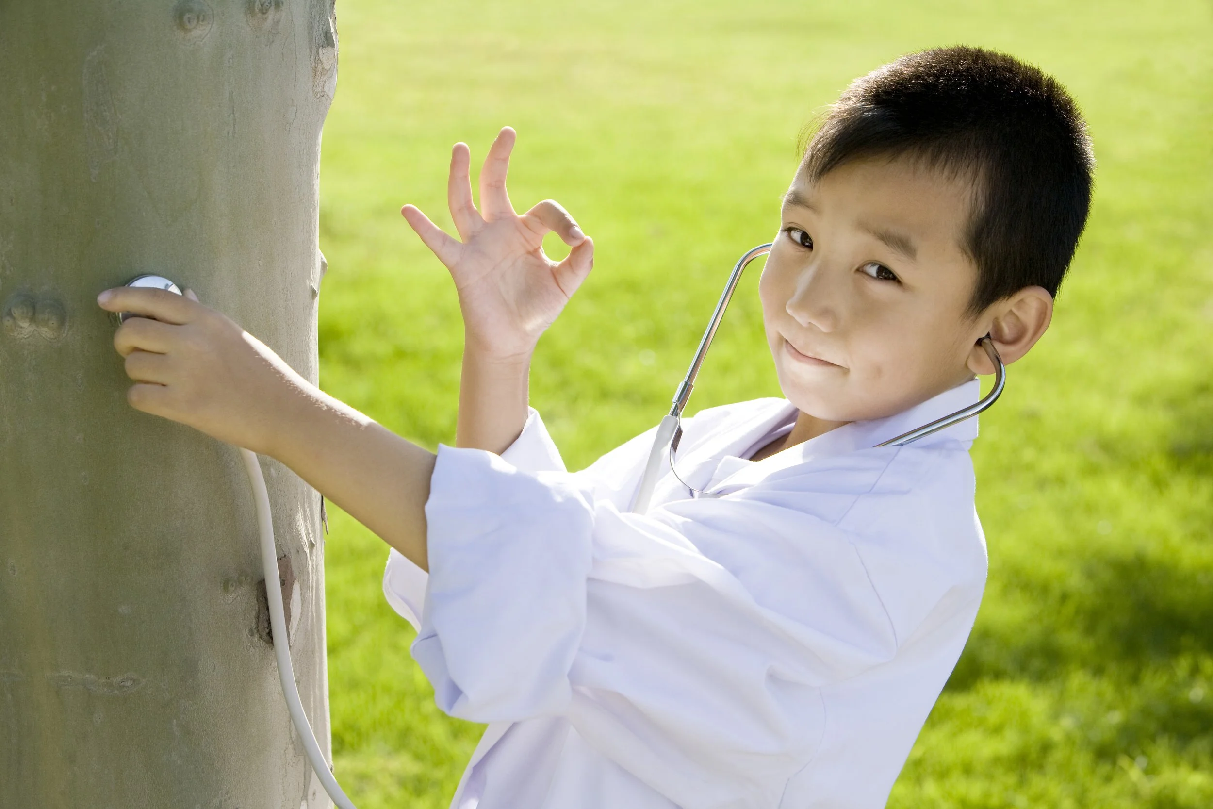 Six signs your trees need help