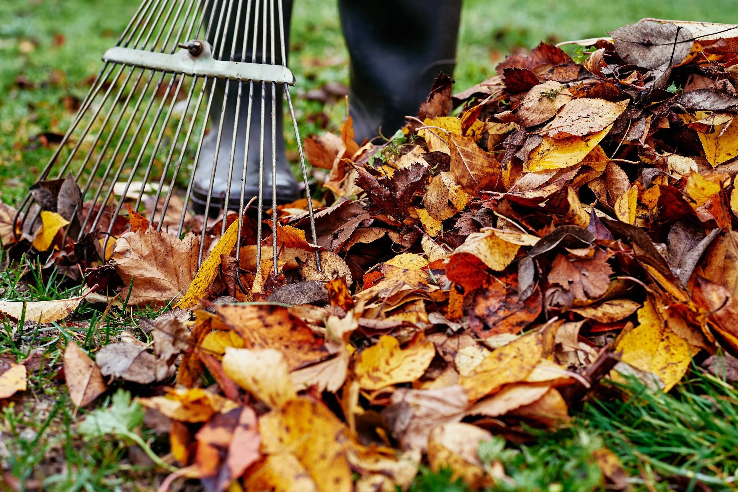 Care for Your Landscaping in the Fall 