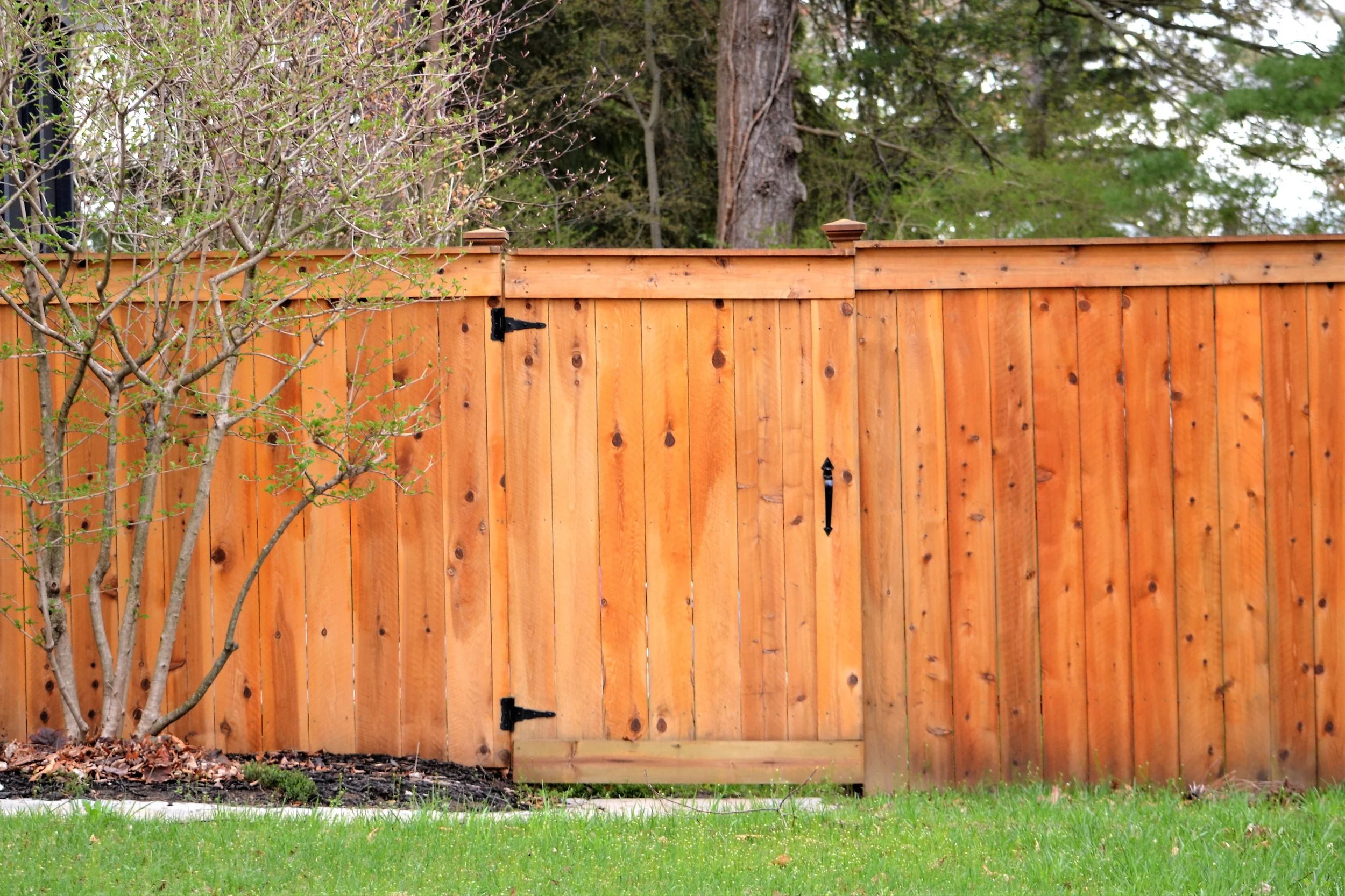 Budget-Friendly Privacy Fence