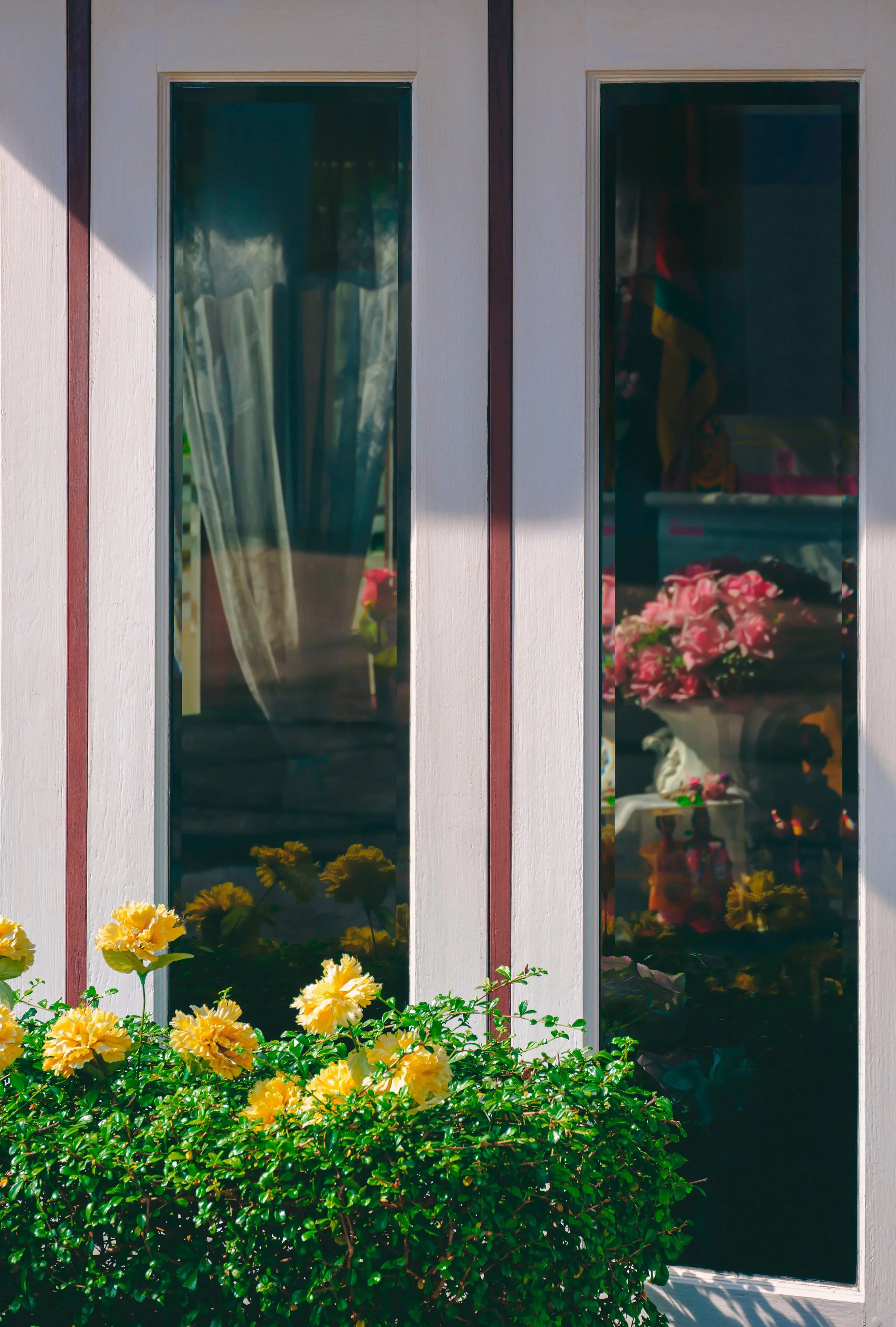 Home Window Tinting