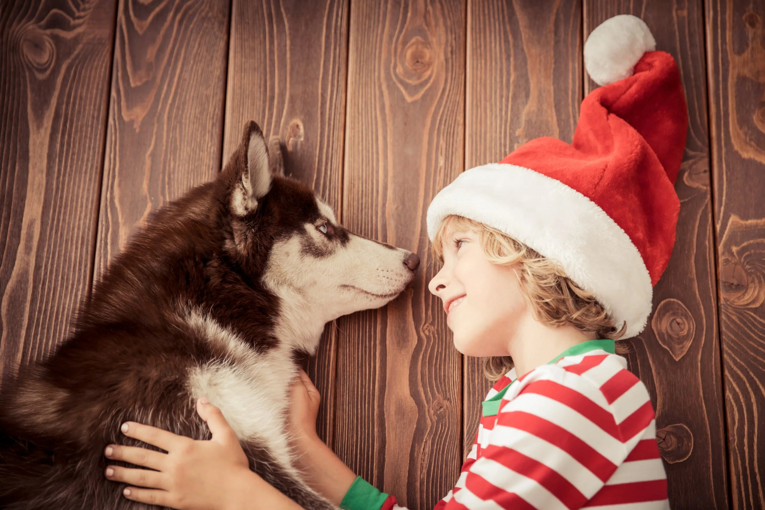 Pest Control Around Kids and Pets