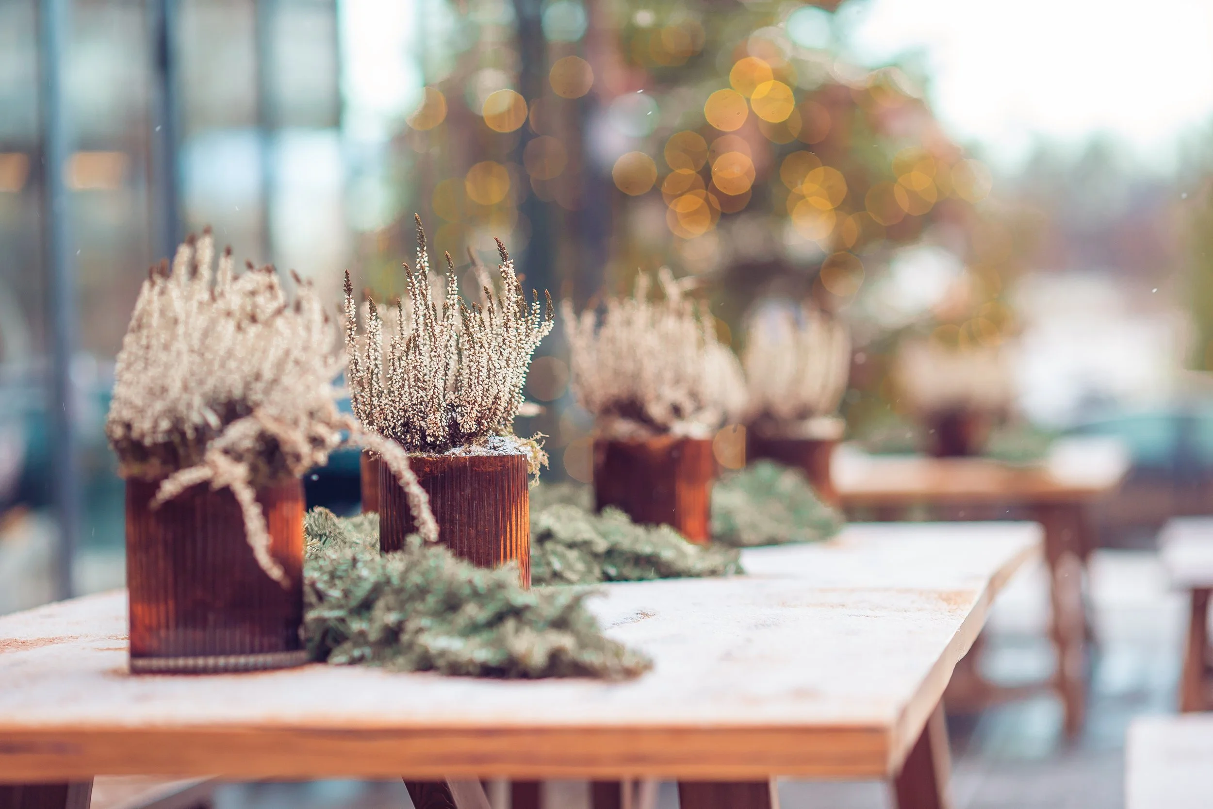 Design The Perfect Outdoor Patio 