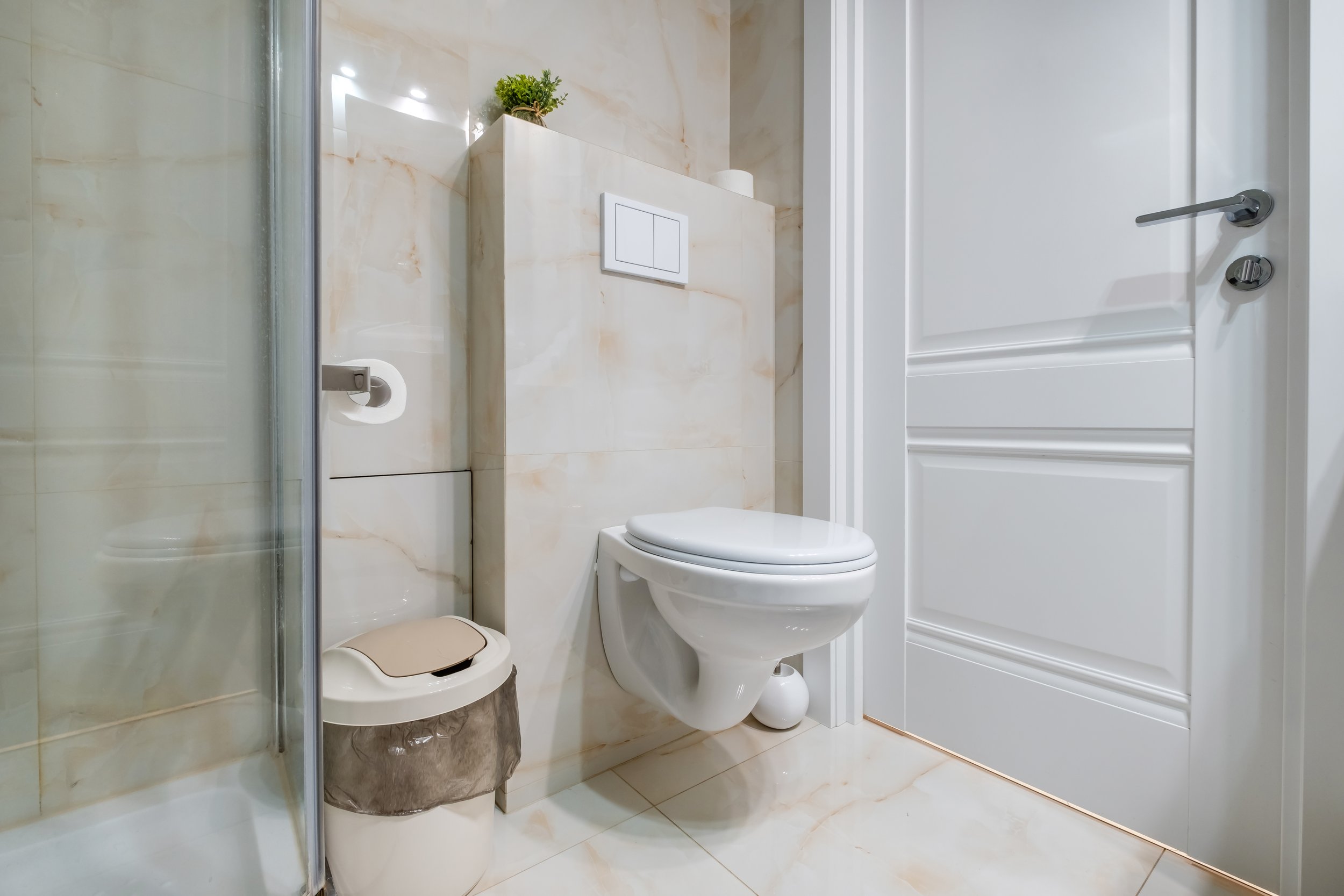 Flushing Your Toilet