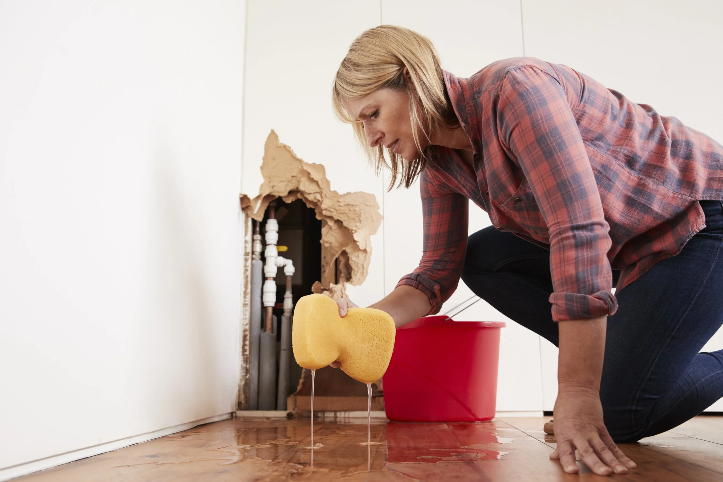 Signs Your Pipes Have Burst