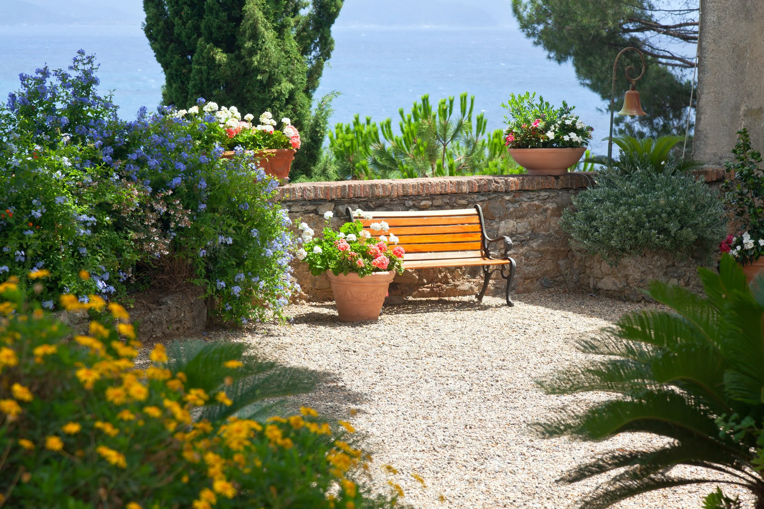 The Best Places to Plant Trees in Your Yard