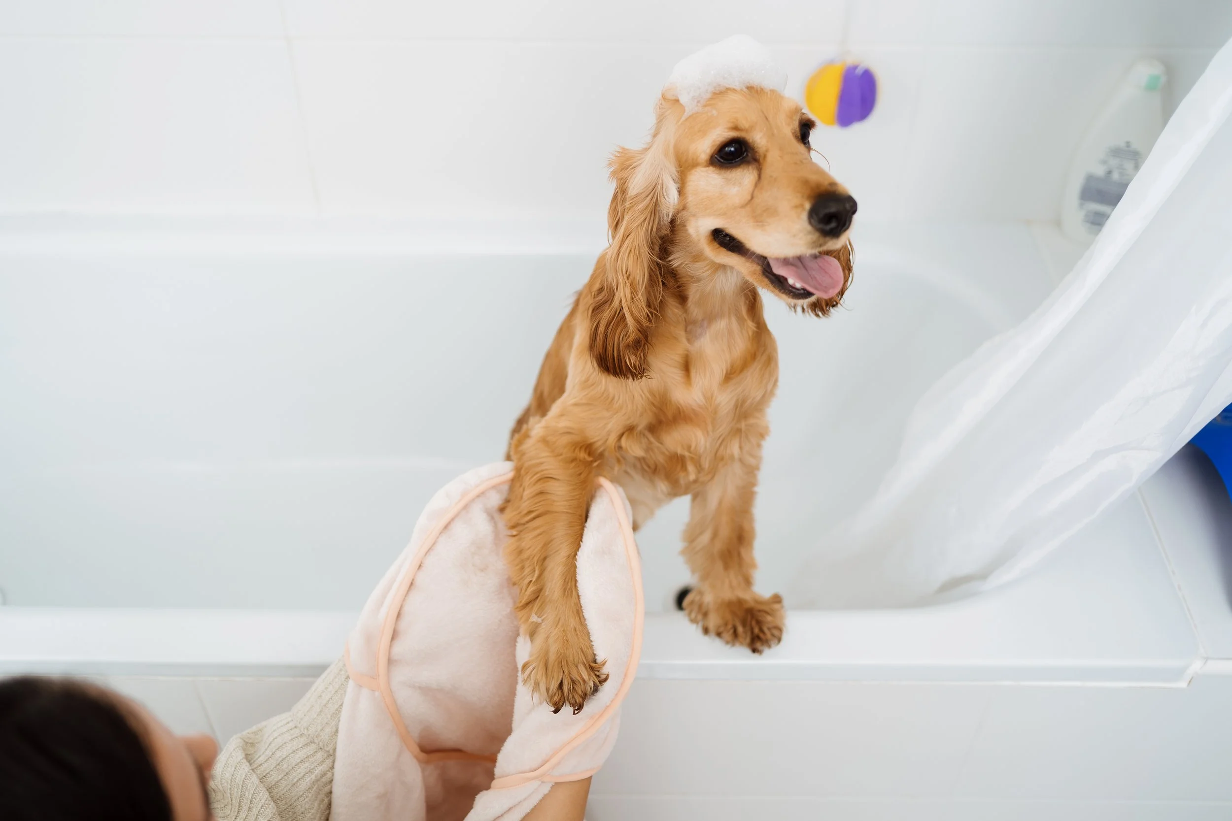 Are Allergens in Your Home Making You Feel Sick?