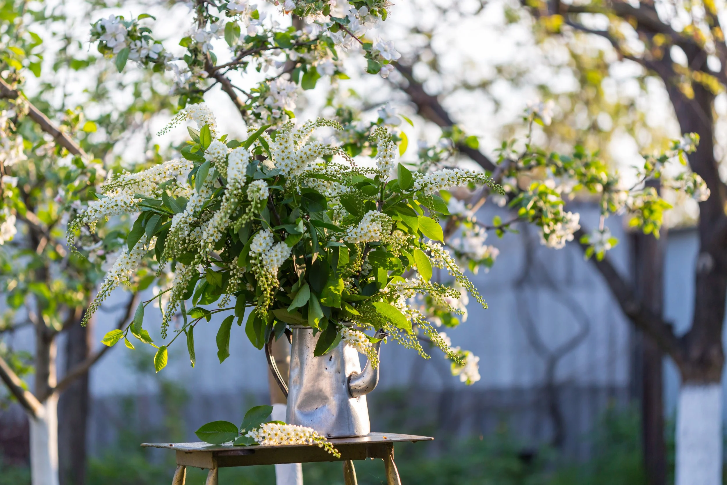Get Your Landscaping Ready for Spring