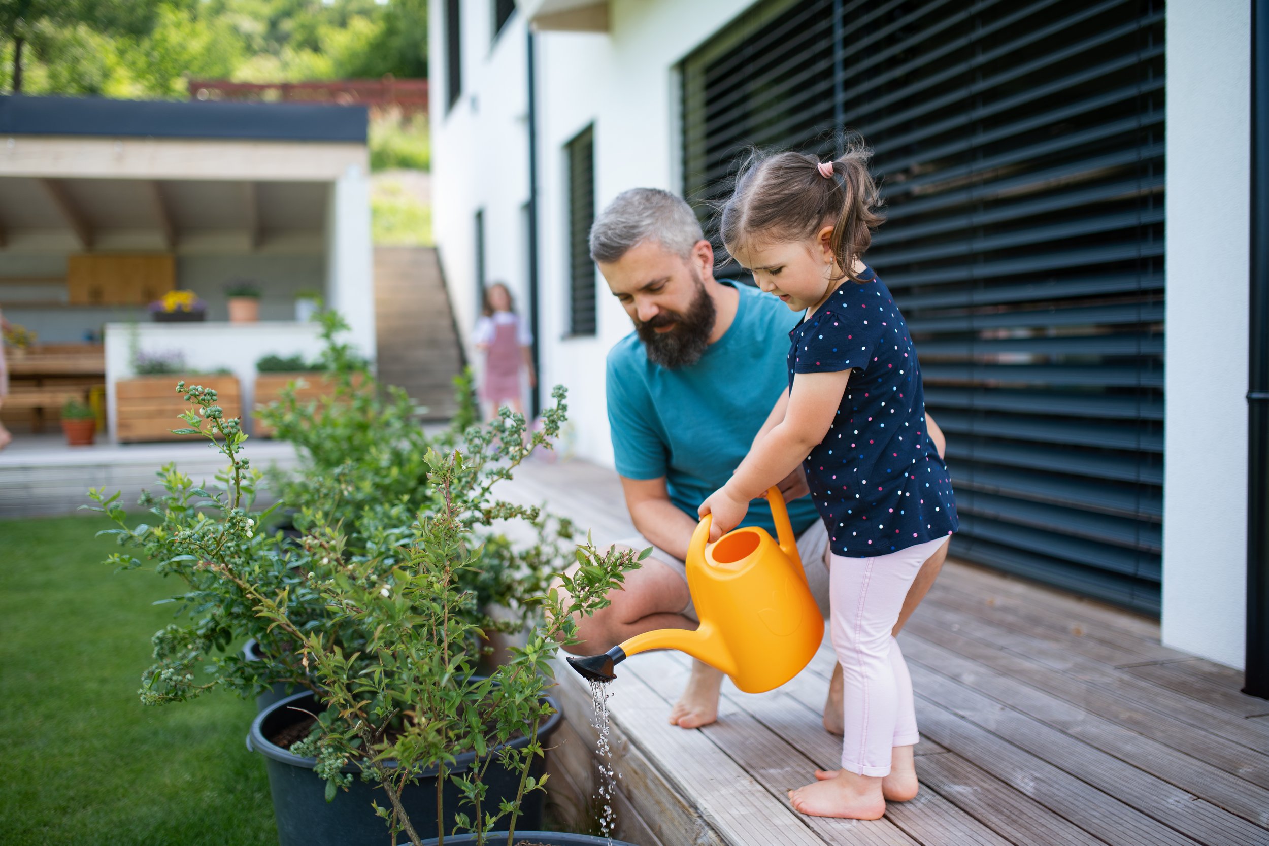 Transform Your Backyard
