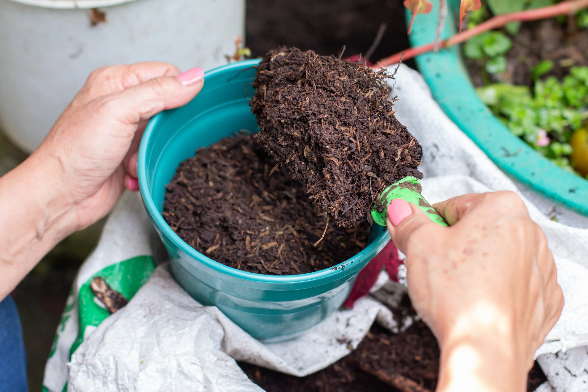 Simple Steps To A Sustainable Garden