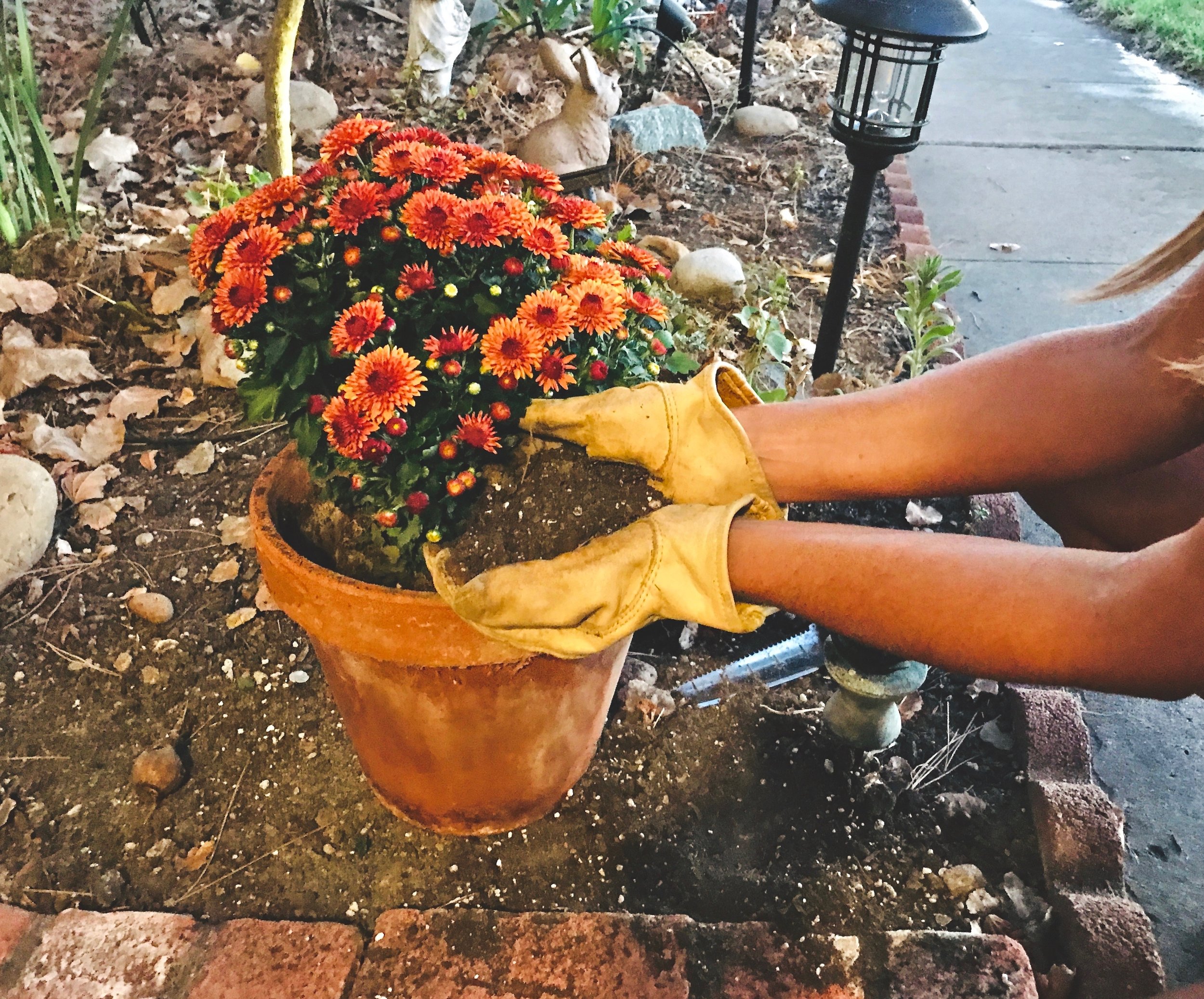 Creating a Low-Maintenance Garden