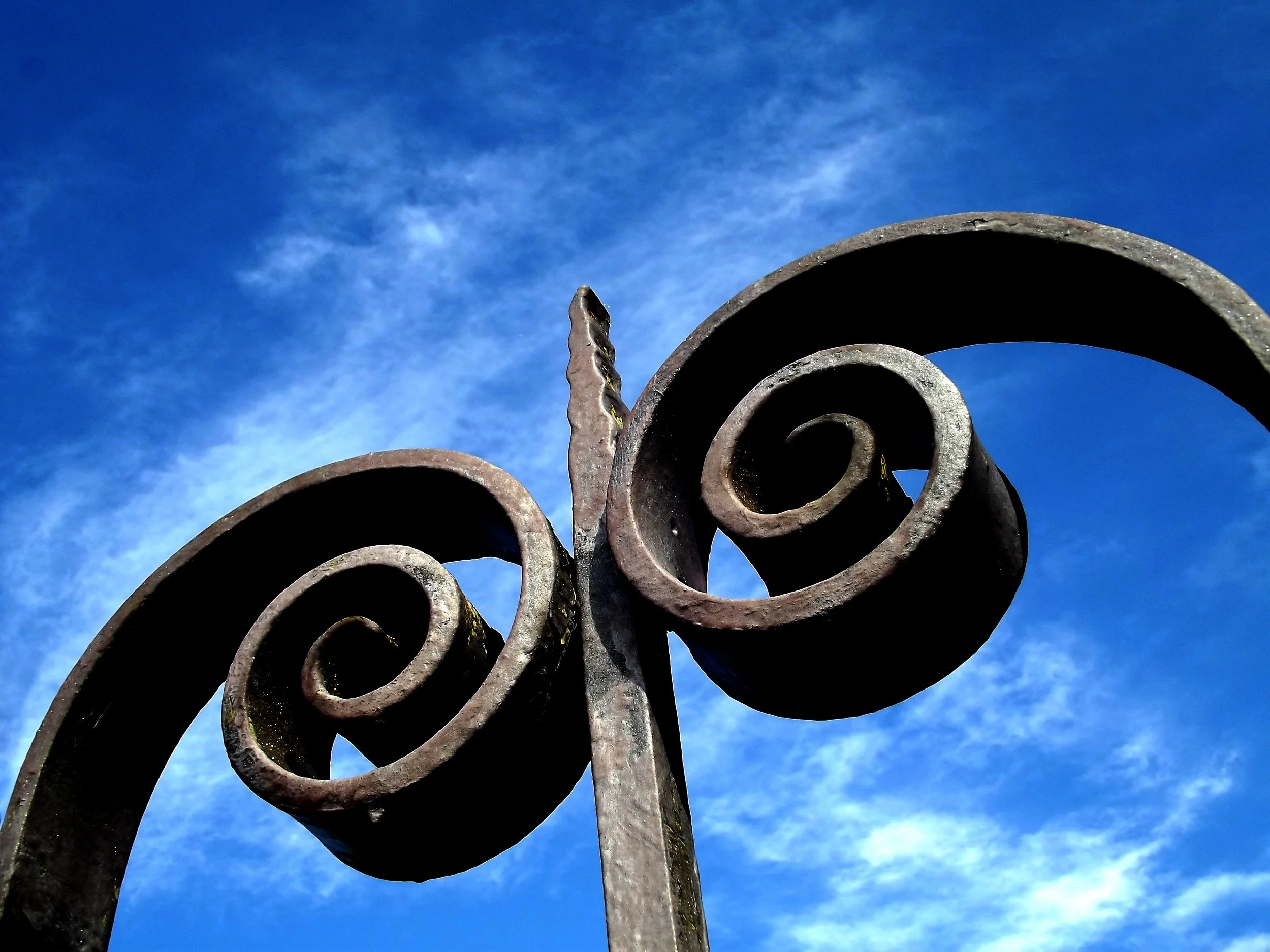 Create a Gorgeous Goth Garden