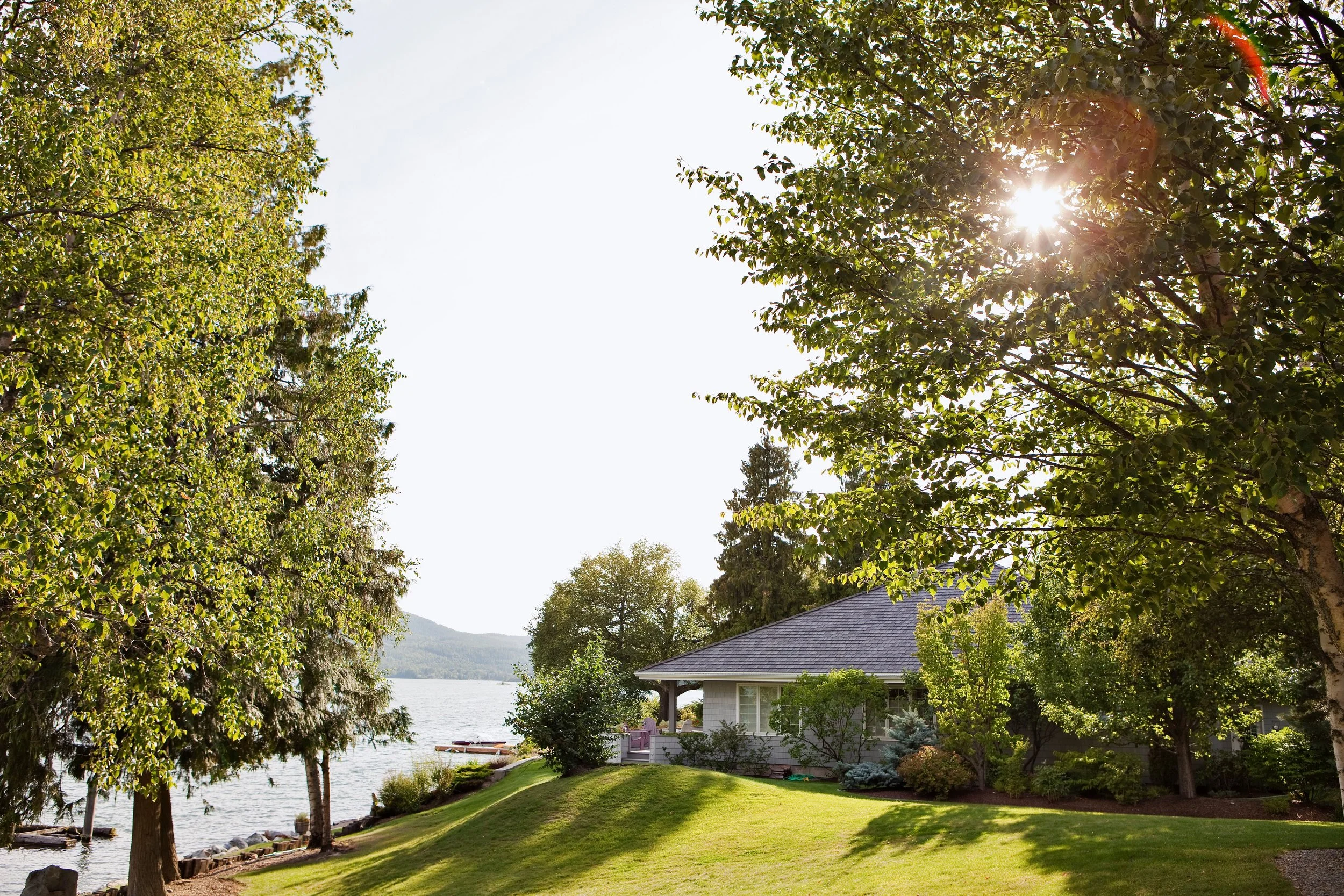 4 Reasons Not to Plant Trees Close to Your House
