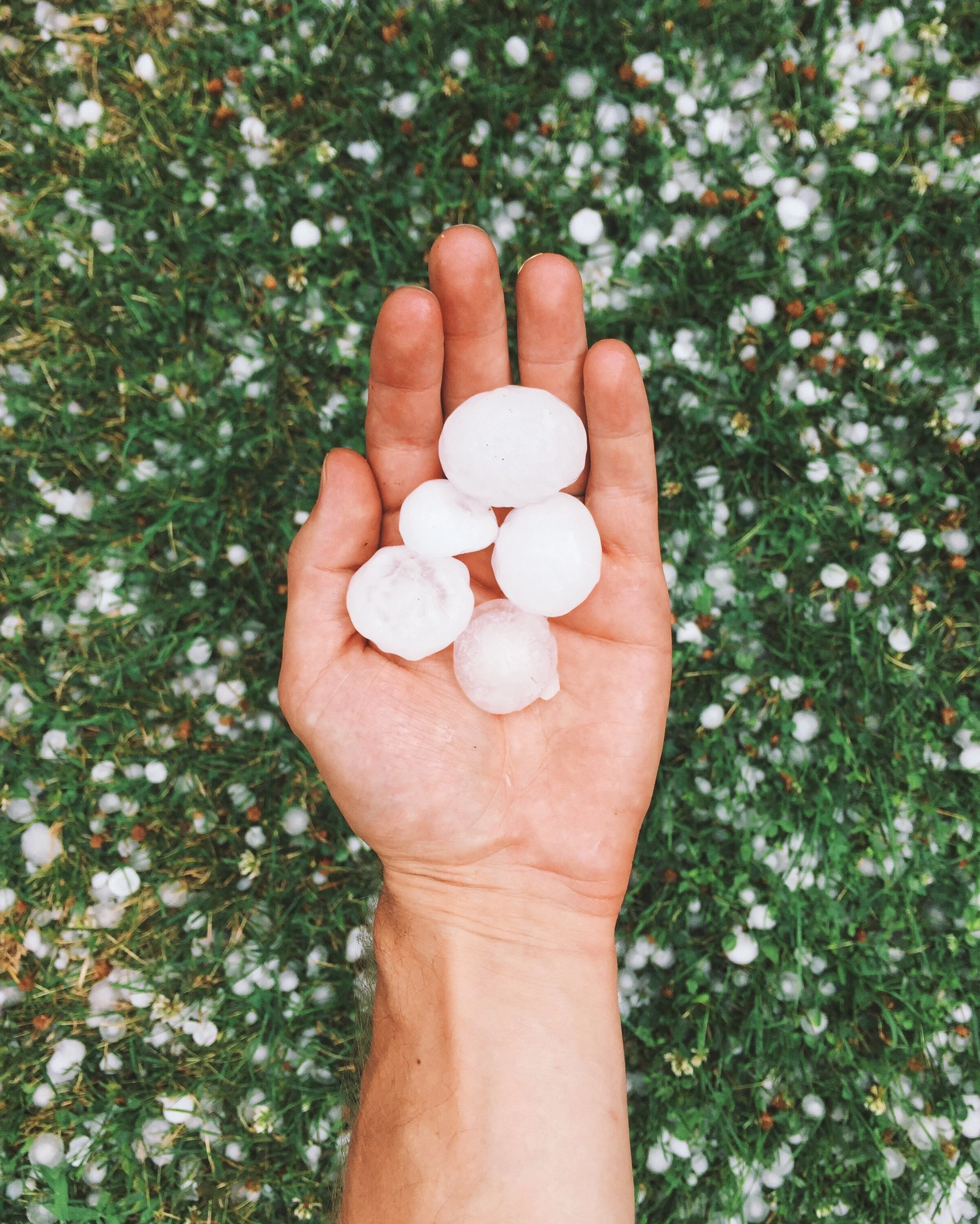 Steps To Take When You Have Hail Damage