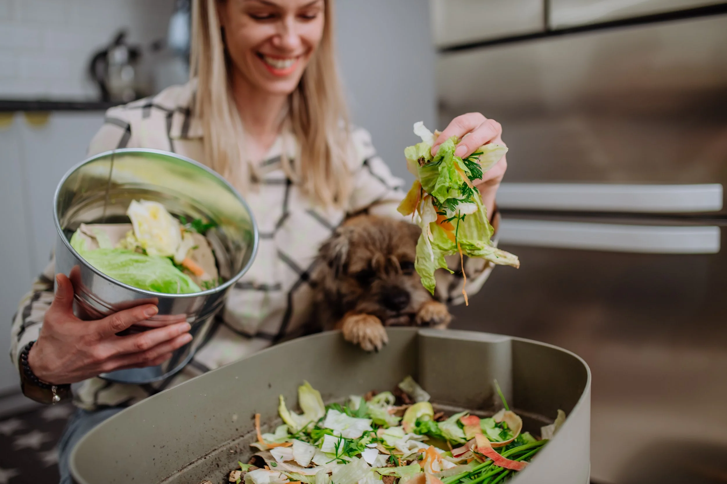 Compost Bins: Where To Start?