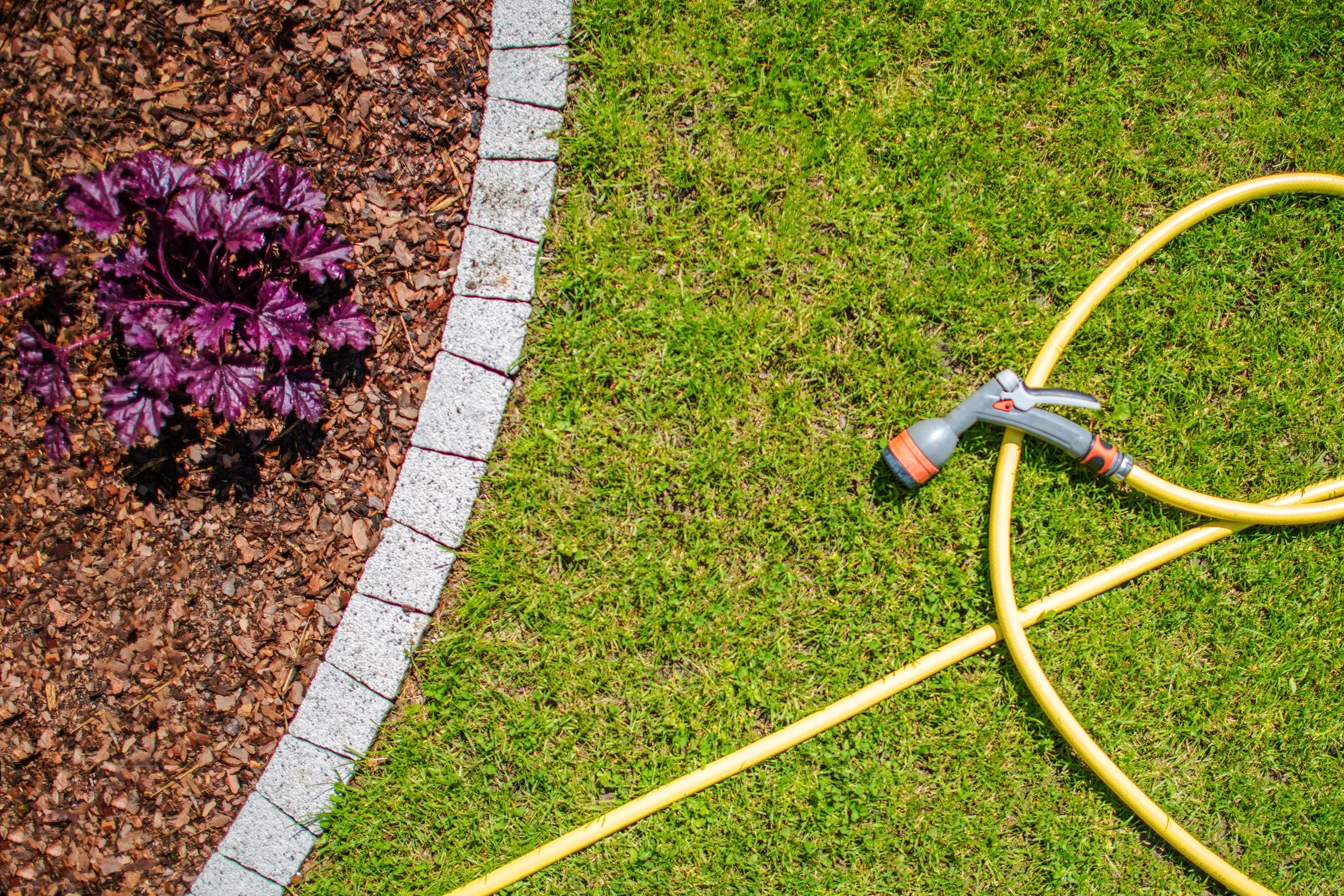 Install Soaker Hoses Before You Plant Your Garden