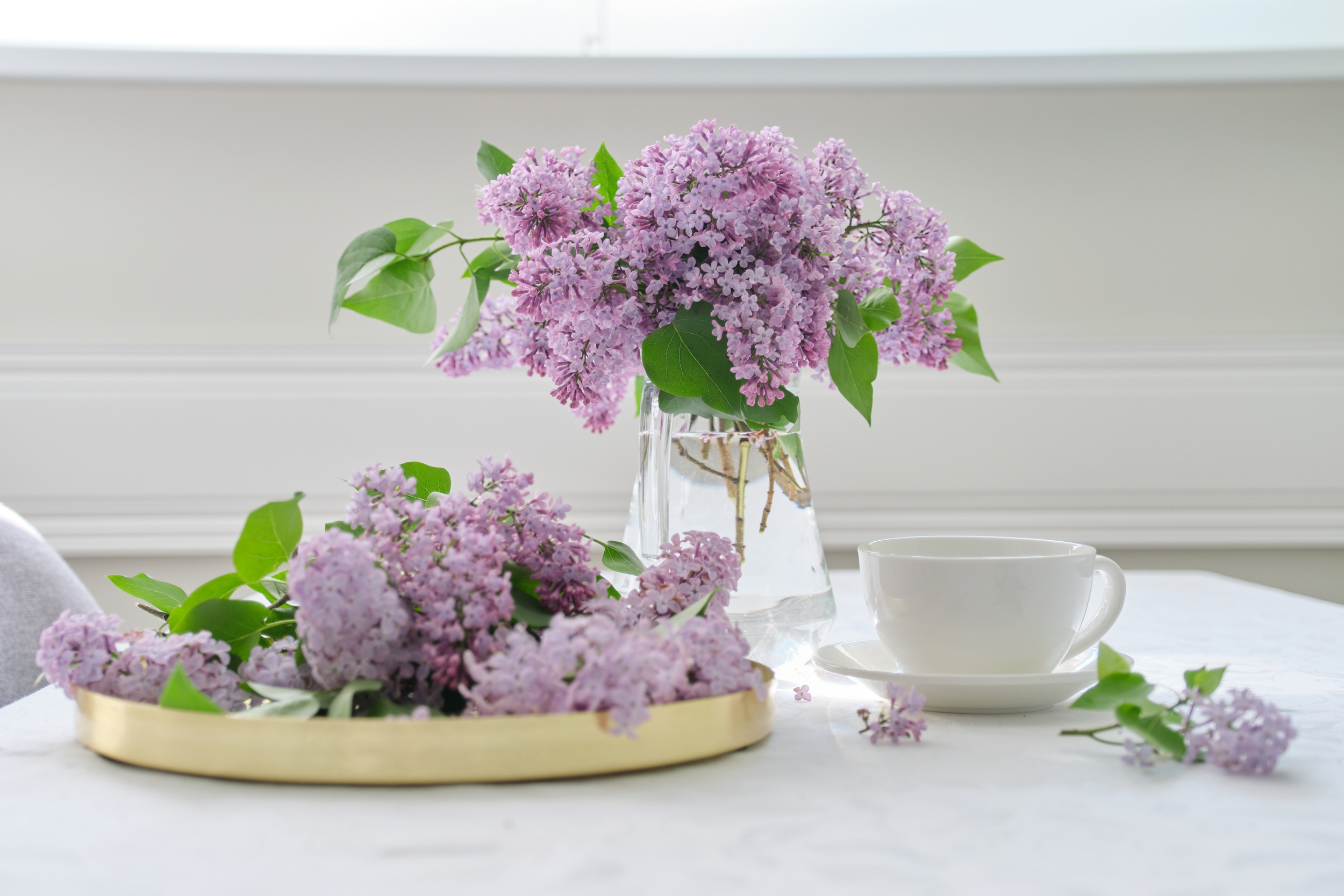 Winter's Farewell: Spring-Ready Home Decor Tips