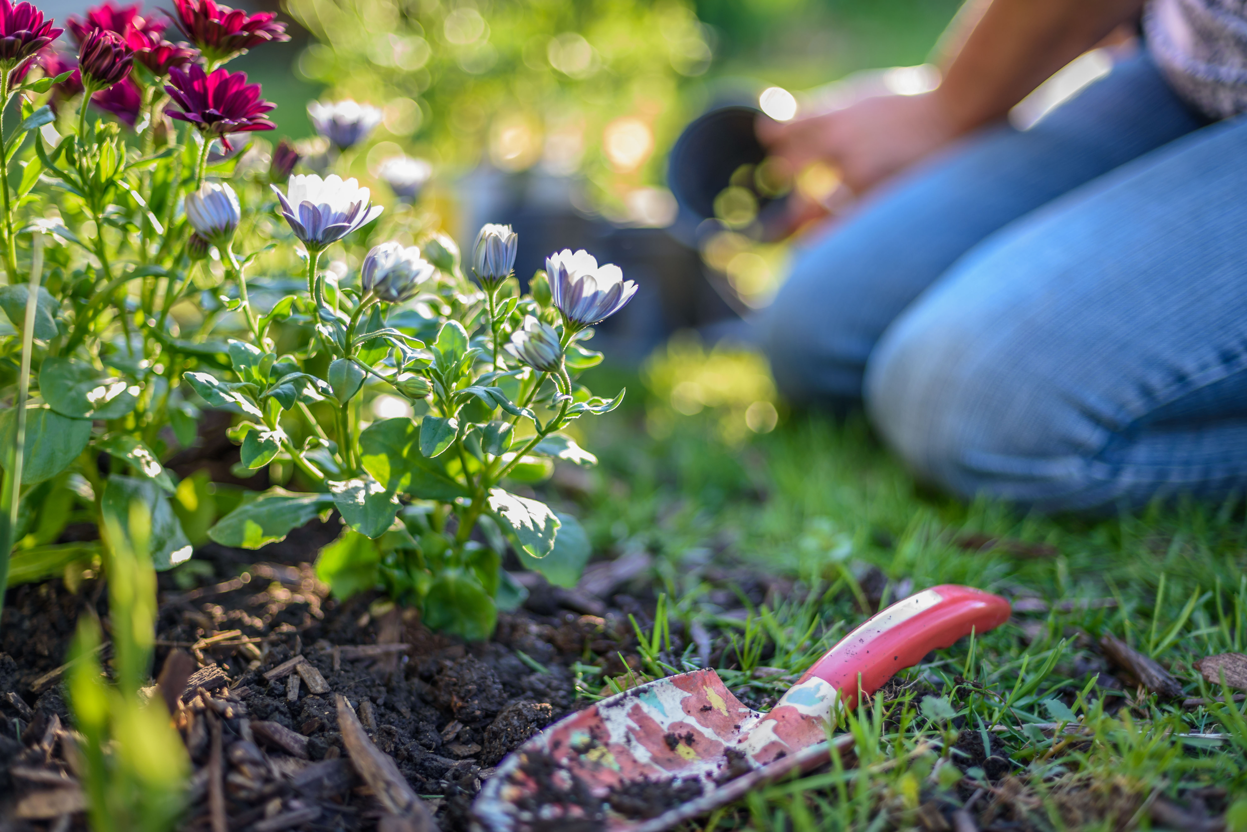 Tips and Tricks for a Spring-Ready Yard