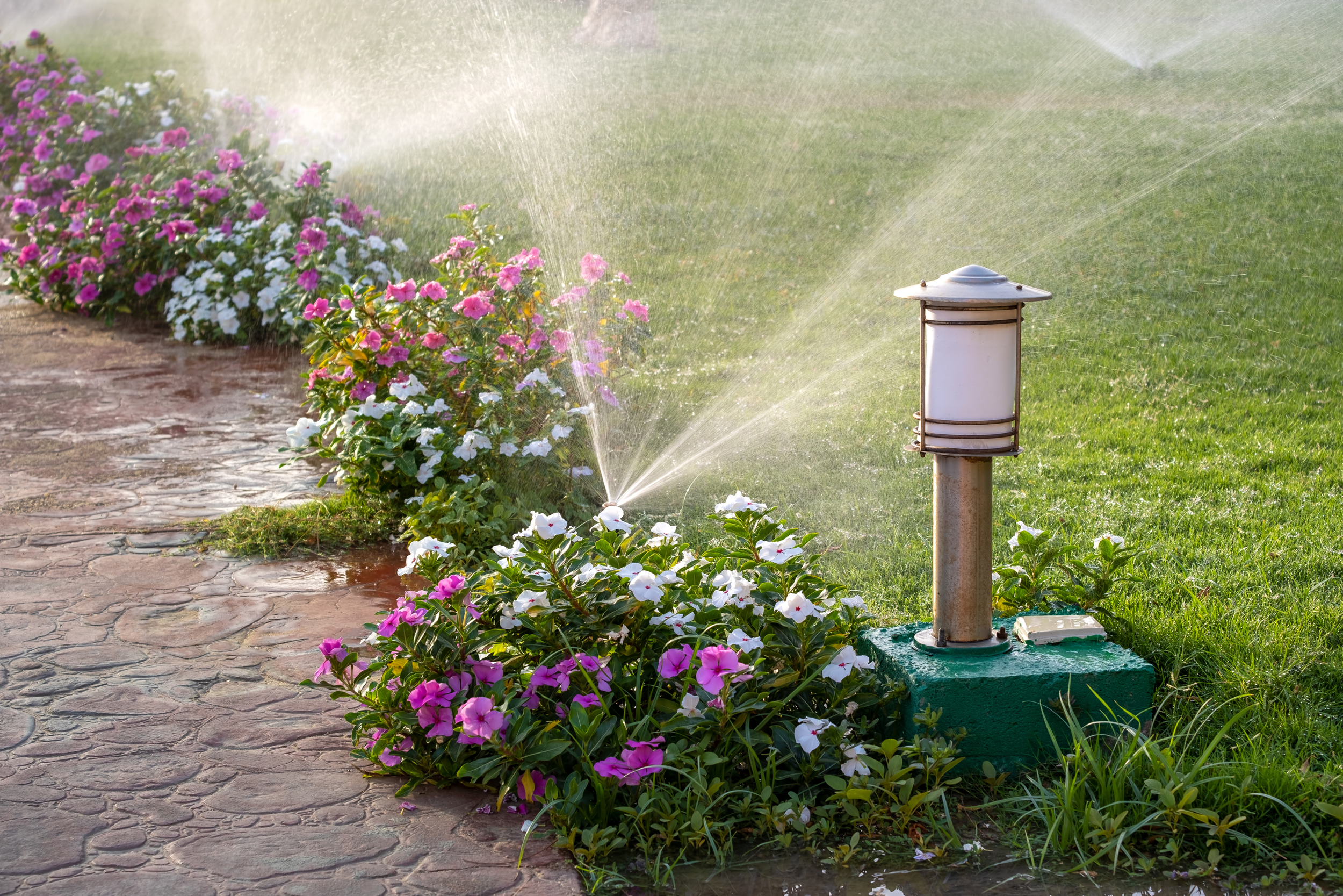 A Comprehensive Guide to Spring Yard Makeovers