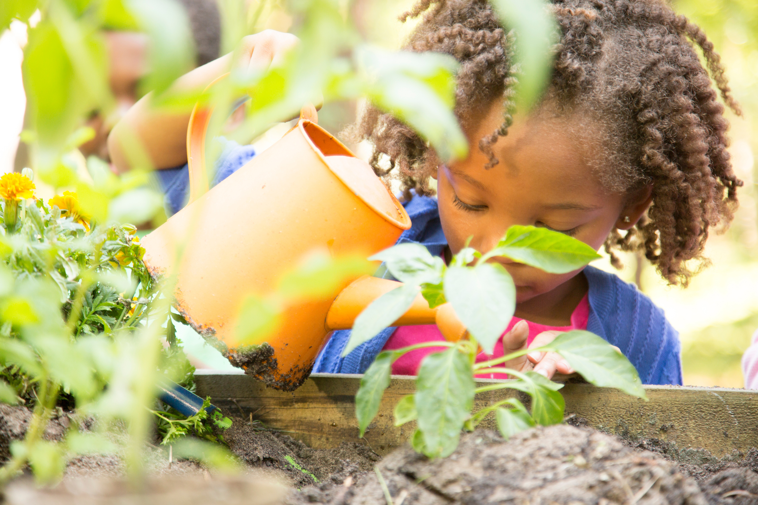 Harvesting Happiness: Growing Your Spring Garden of Joy