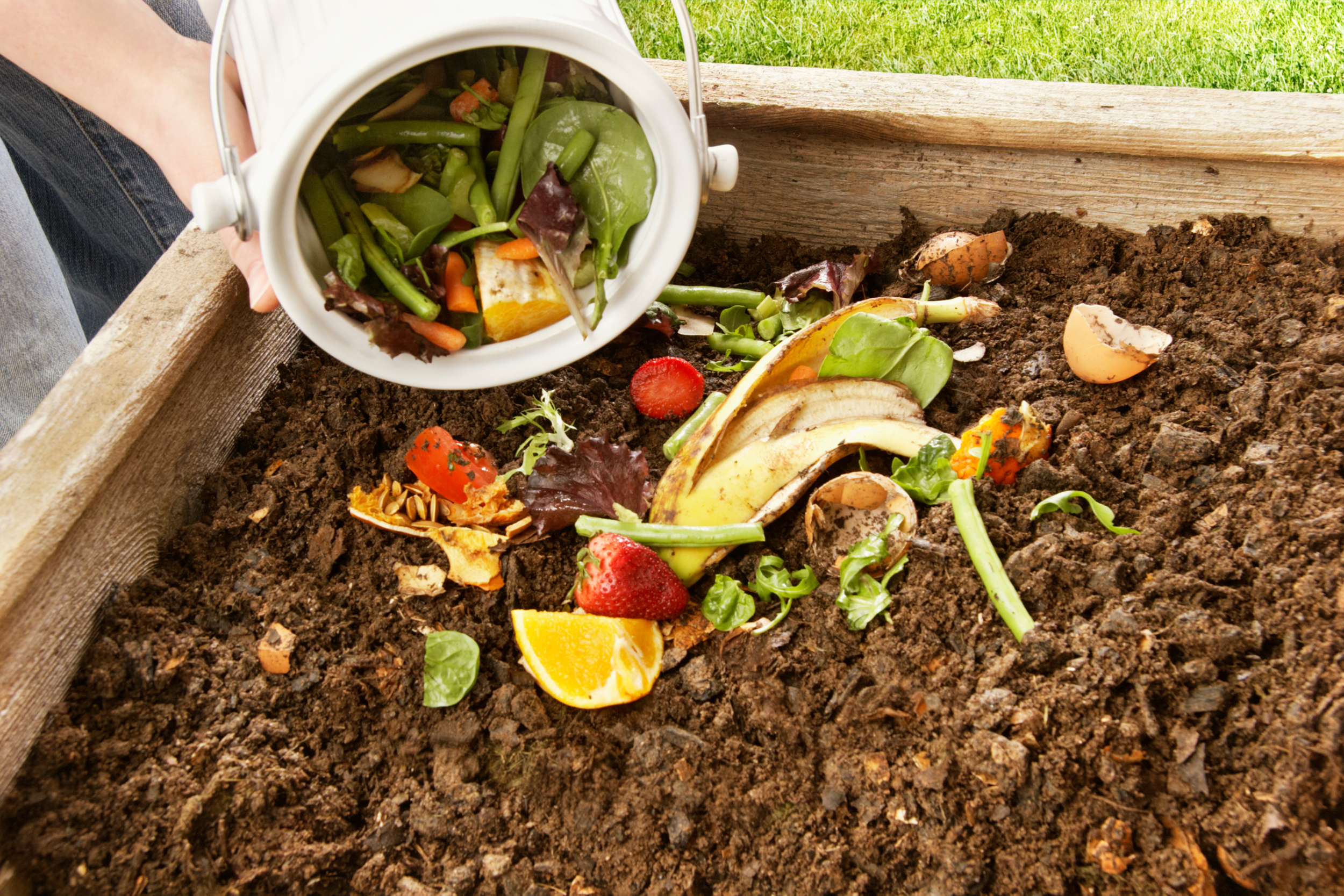 Composting 101: Turning Kitchen Scraps into Garden Gold