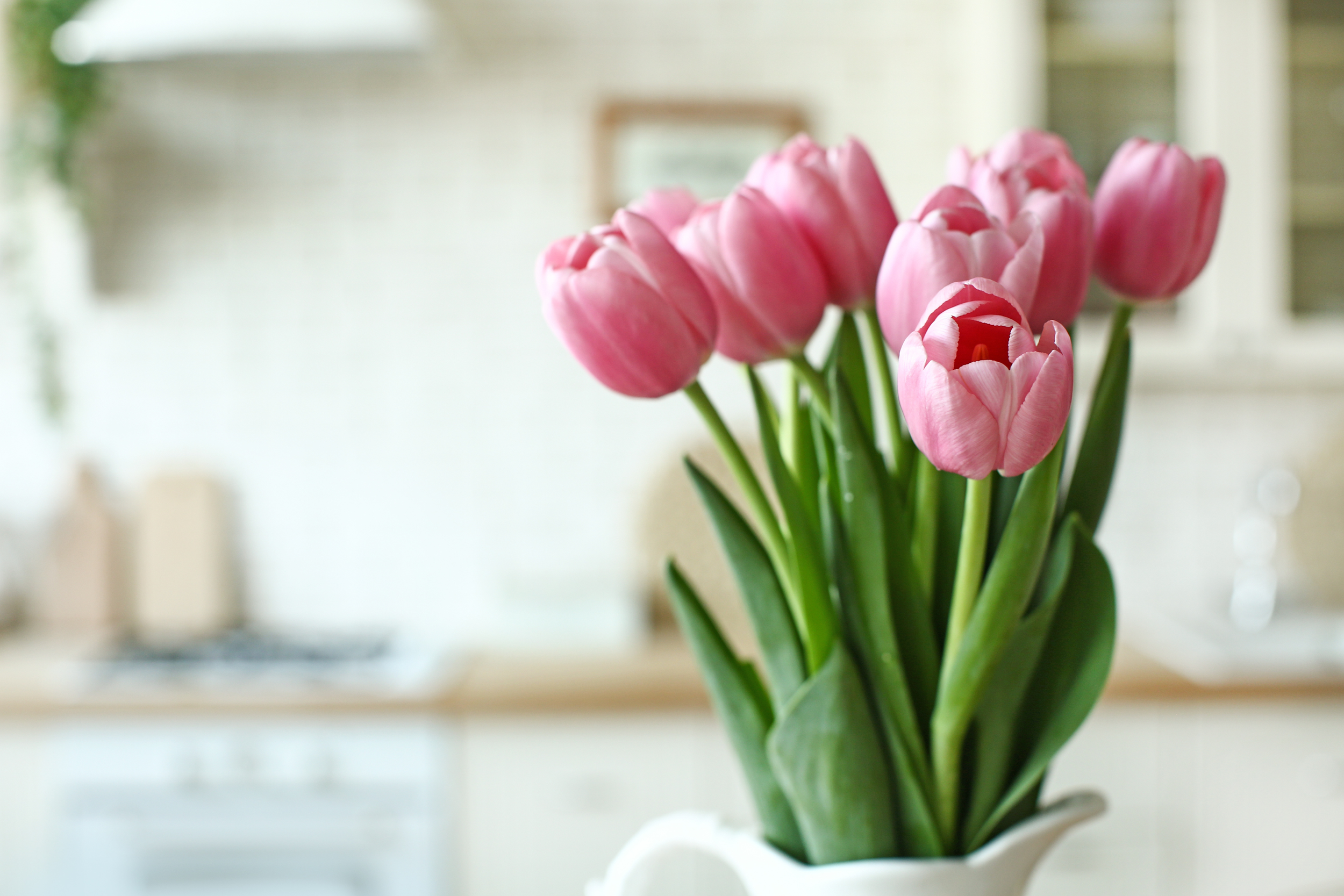 Garden Gathering: Bringing Outdoor Elements Inside Your Home for