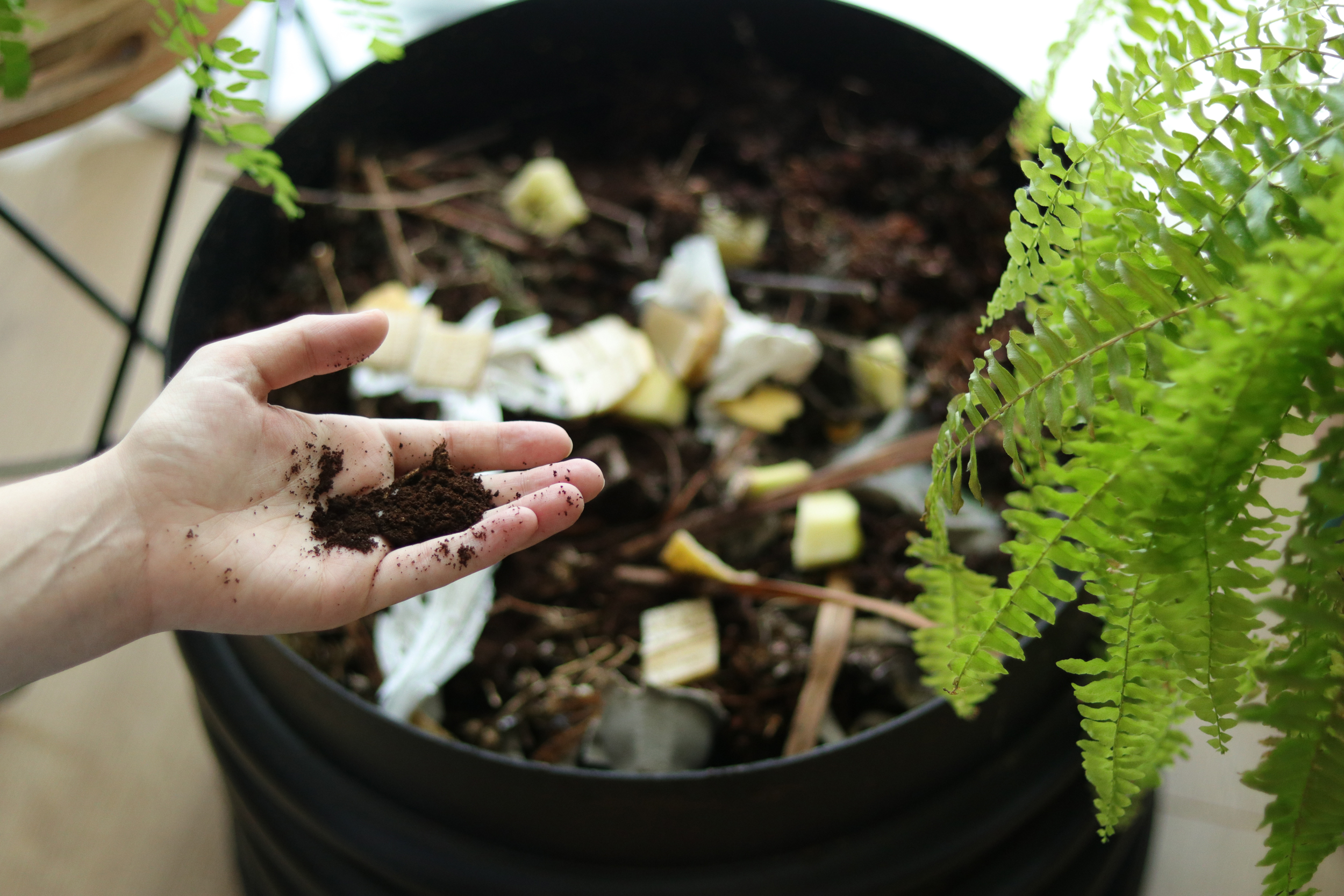 Eco-Friendly Home Cleaning Tips for Spring