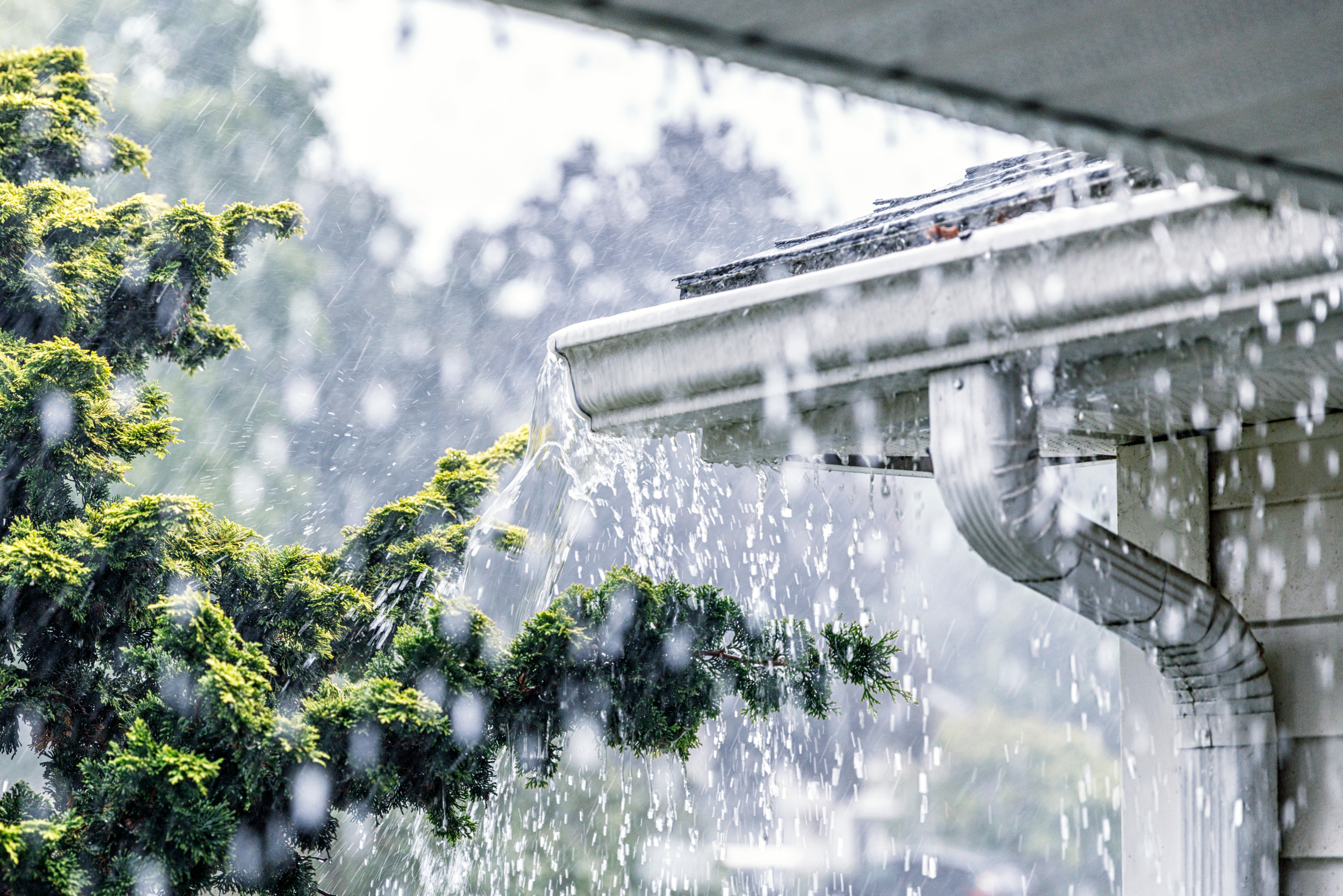 Storm-Proof Your Space: Essential Weatherproofing Tips for Spring