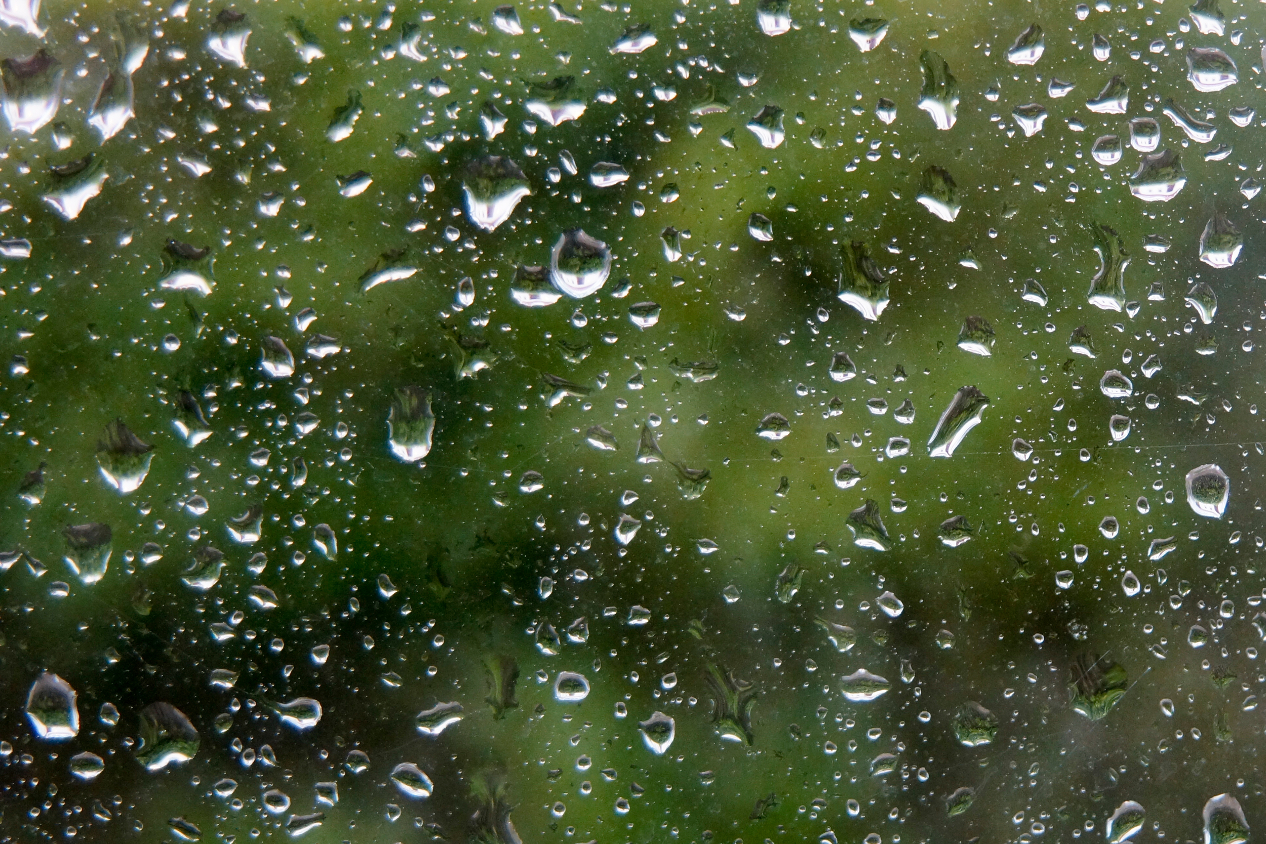 Spring Storm Survival Guide: Weatherproofing Your Home for Safety
