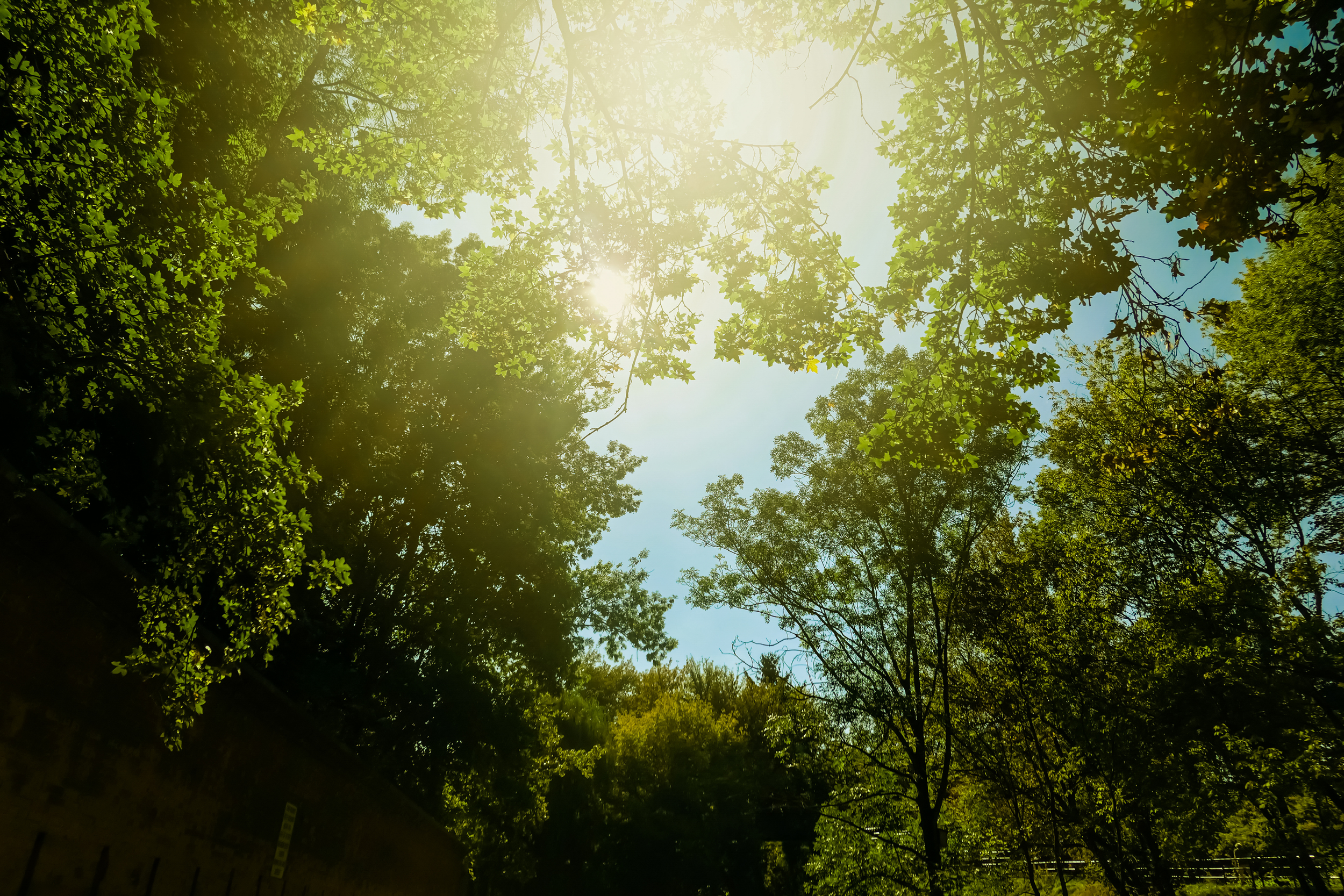 Building a Better Future: Eco-Friendly Upgrades for Earth Day Awareness