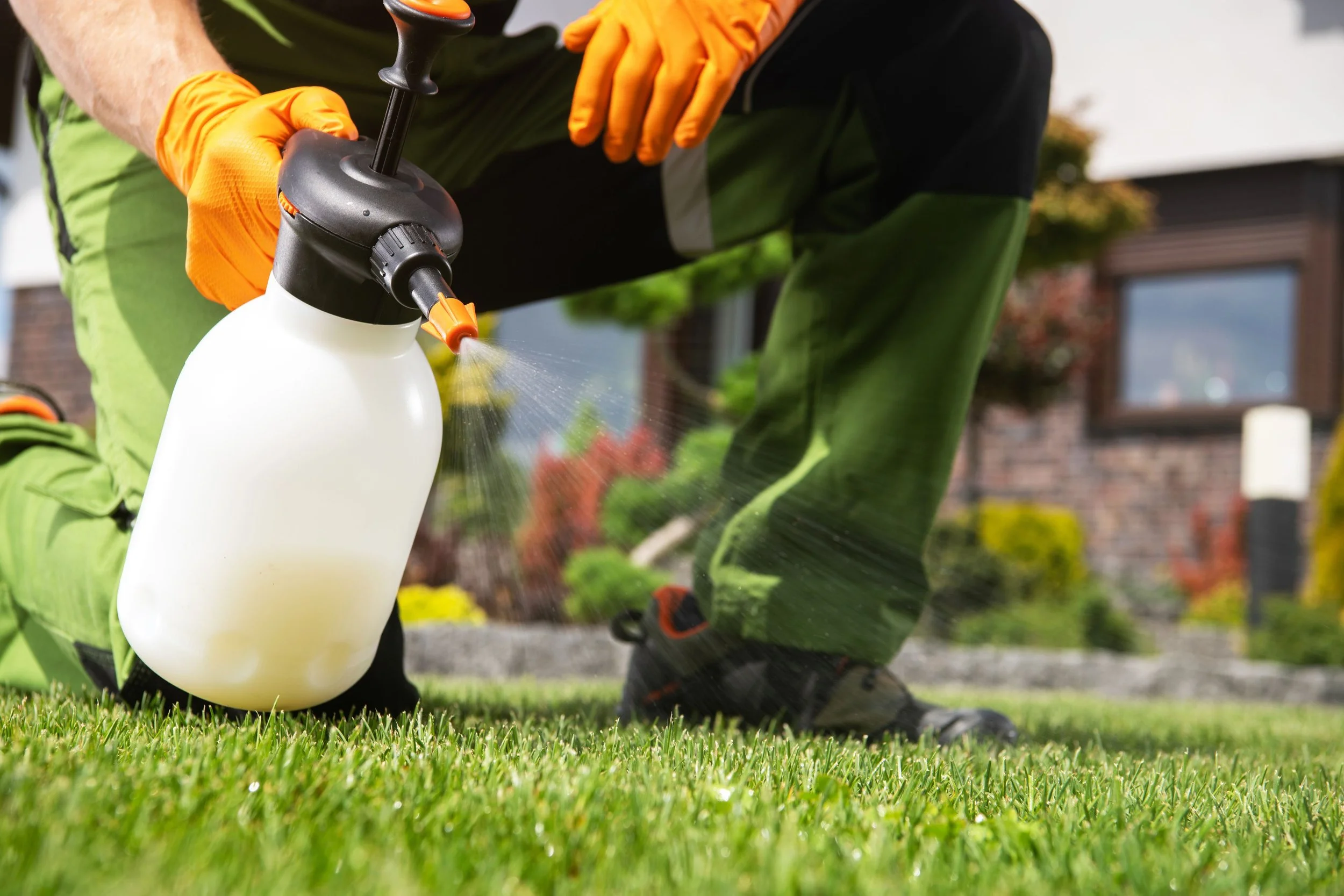 Tips for Taming Weeds and Pests in Your Garden