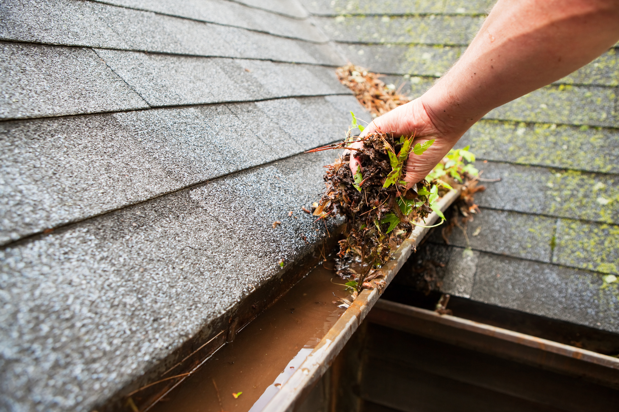 Why Gutter Cleaning Is Essential For Summer