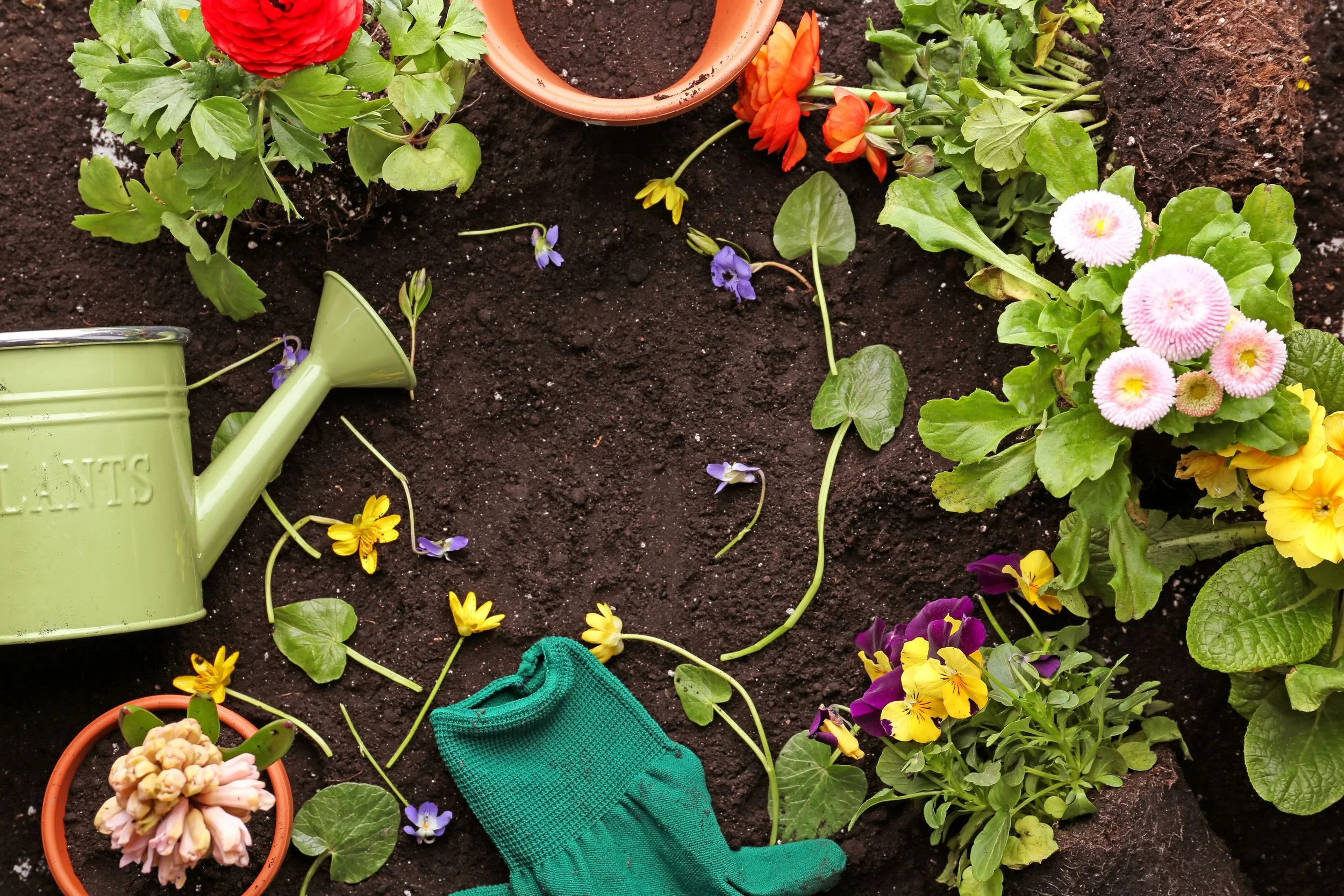 Sunshine and Soil: How to Prep Your Garden for a Flourishing Summer