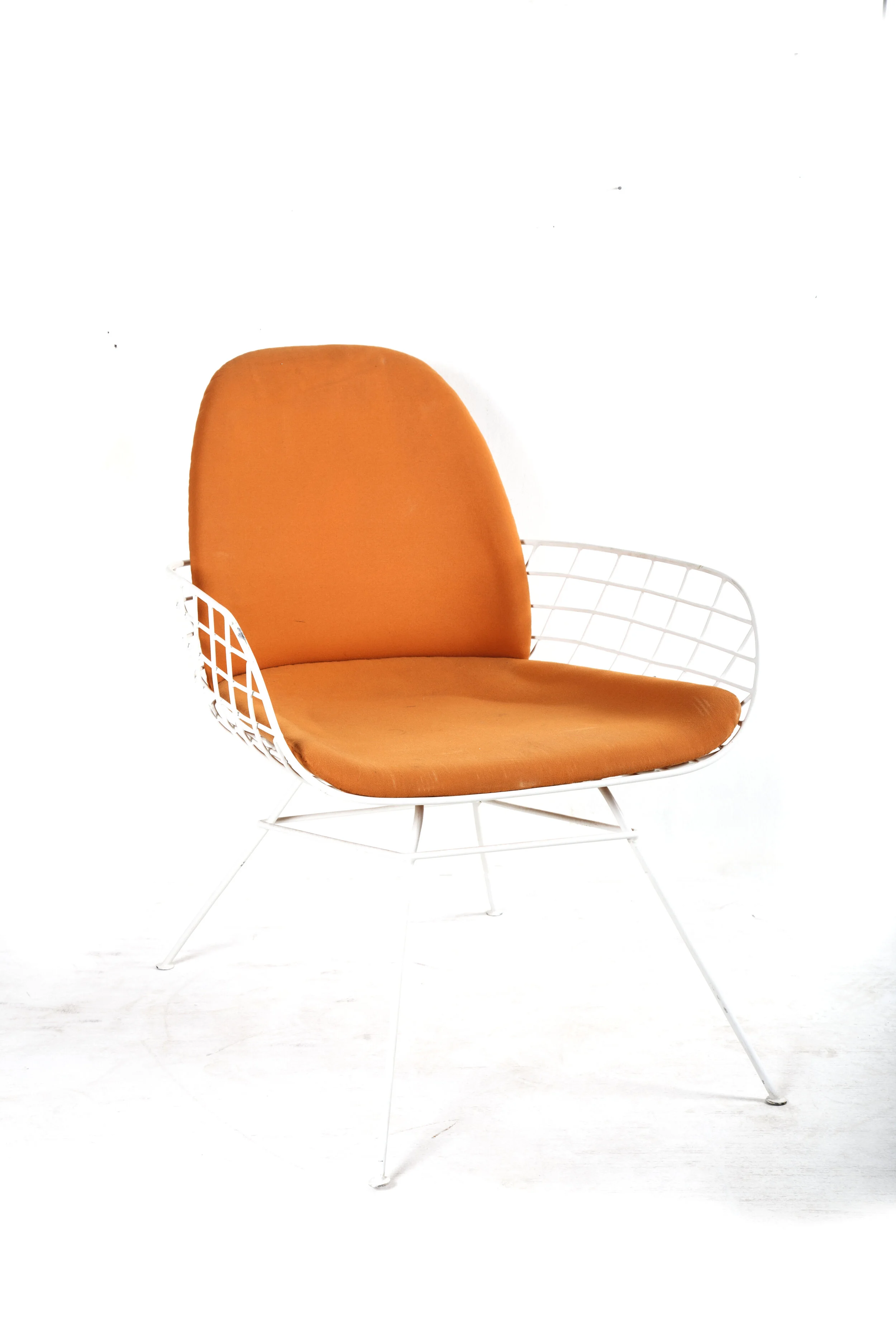 Taurus Chair Buy Chairs Online Home Furniture — AKFD Studio