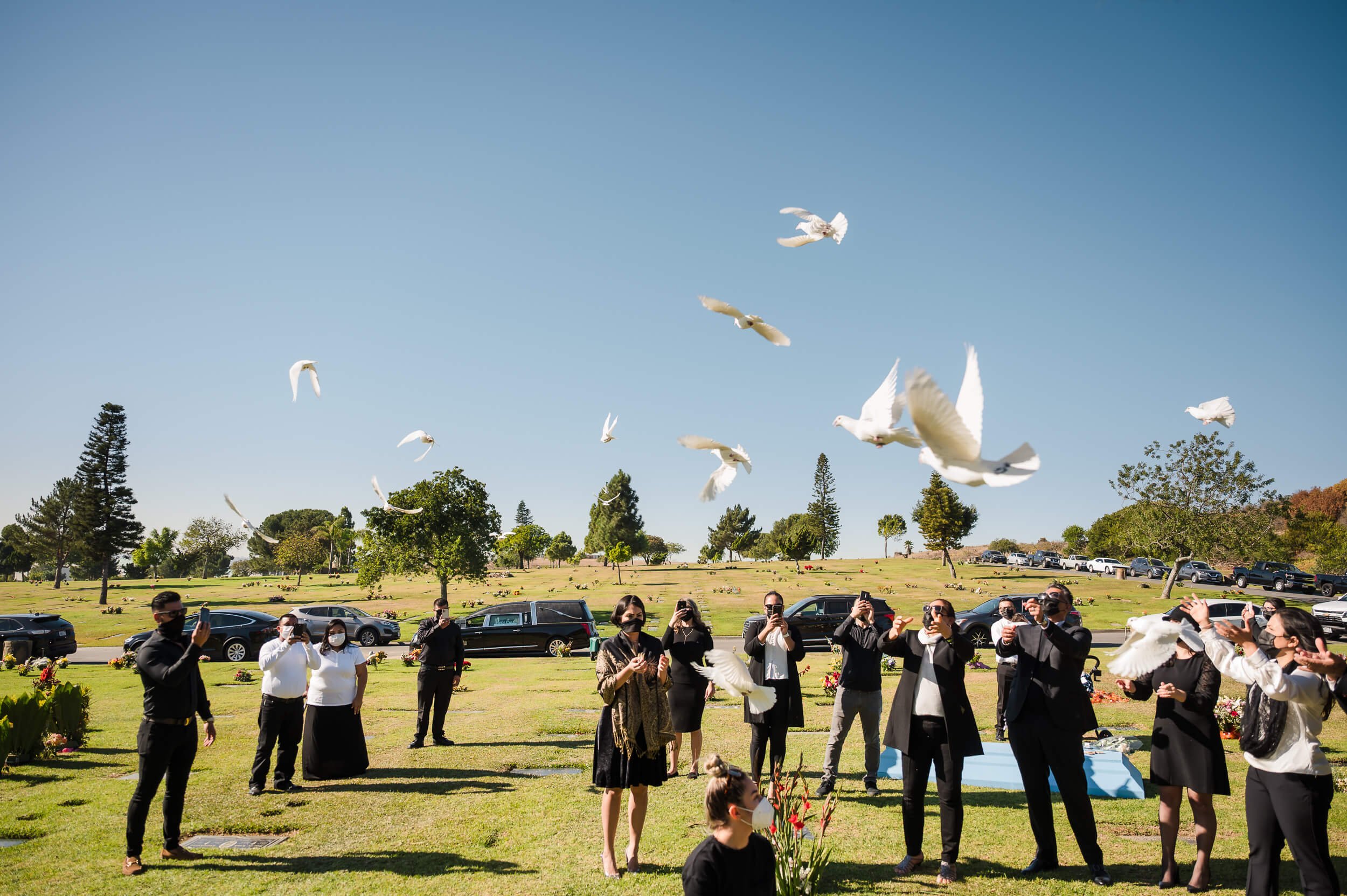 dove-release-ceremony-holy-cross-catholic-church-culver-city-california-1.jpg